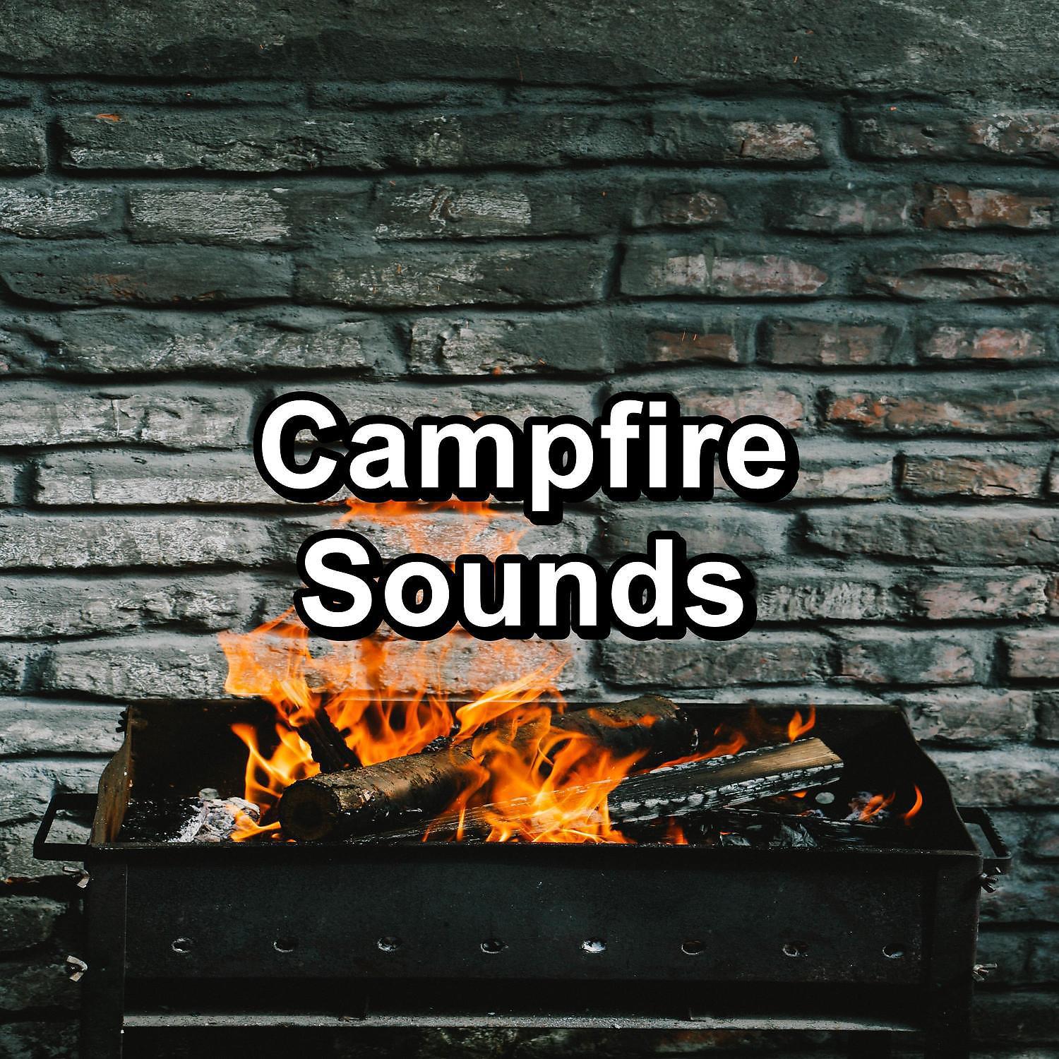 Постер альбома Campfire Sounds