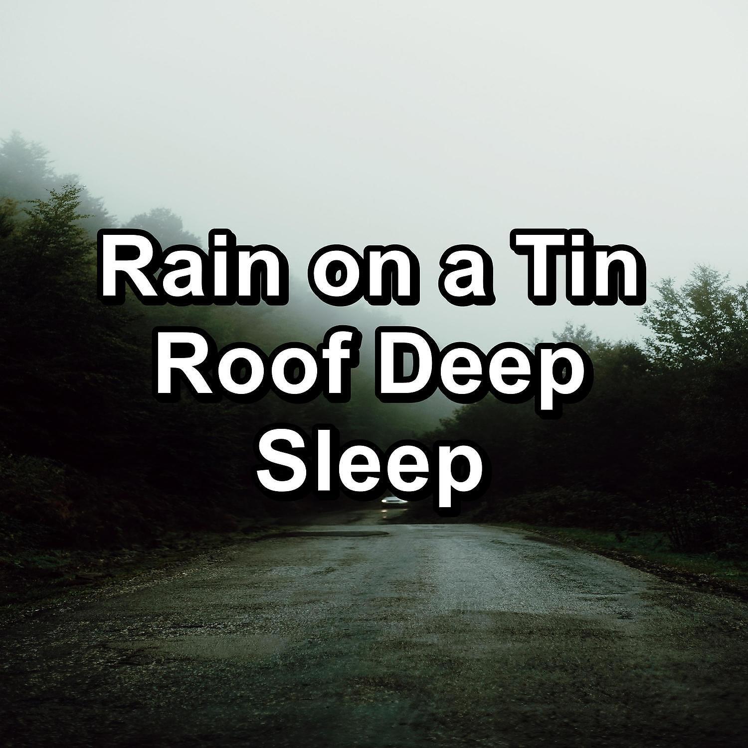 Deep Sleep Music Experience - Moderate Rain in the Rainy Forest Noise for Trouble Sleeping