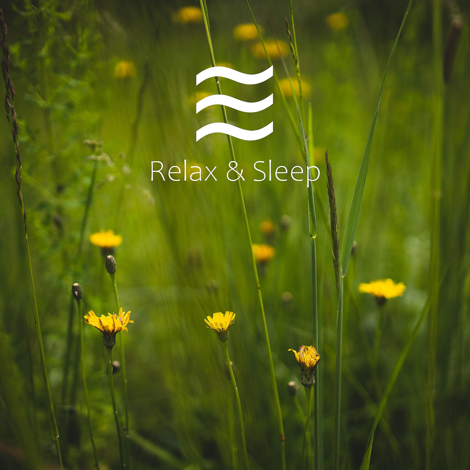 Noise Shushers for Infants - Quiten sounds for fast sleep