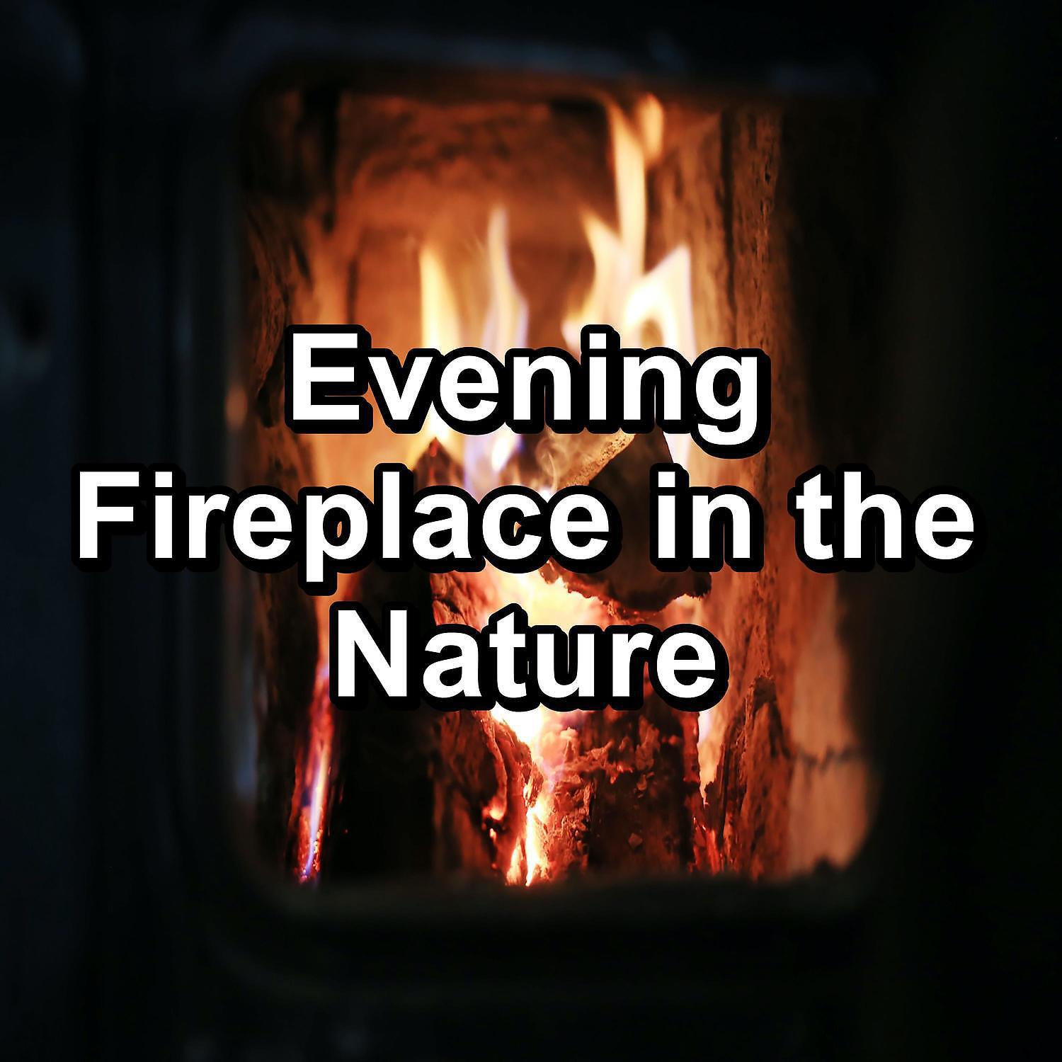 Ocean Wave Sounds - Fire Place Sounds in the Forest For Adults and Babies