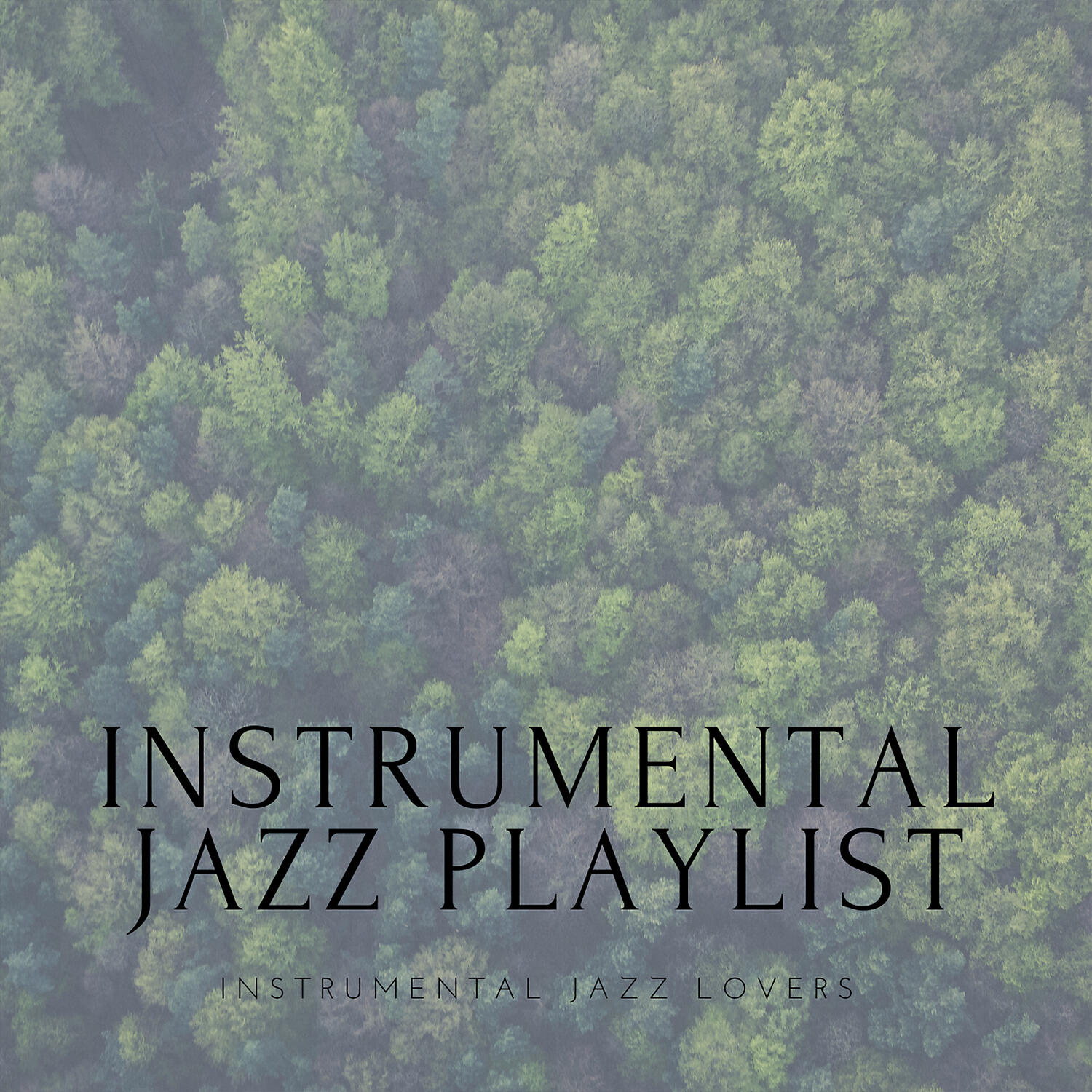 Instrumental Jazz Lovers - A Lotus, Gone but Not Forgotten