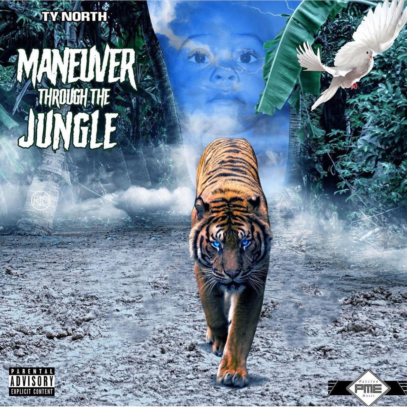 Ty North - Expensive Taste