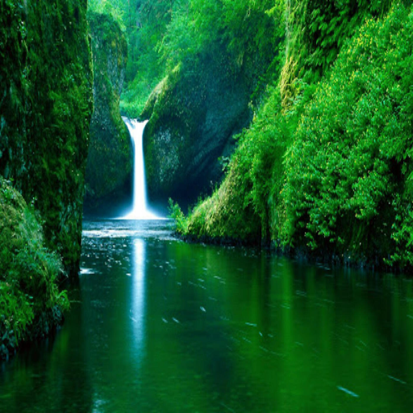 Natural - Bird Sounds That Can Soothe the Mood
