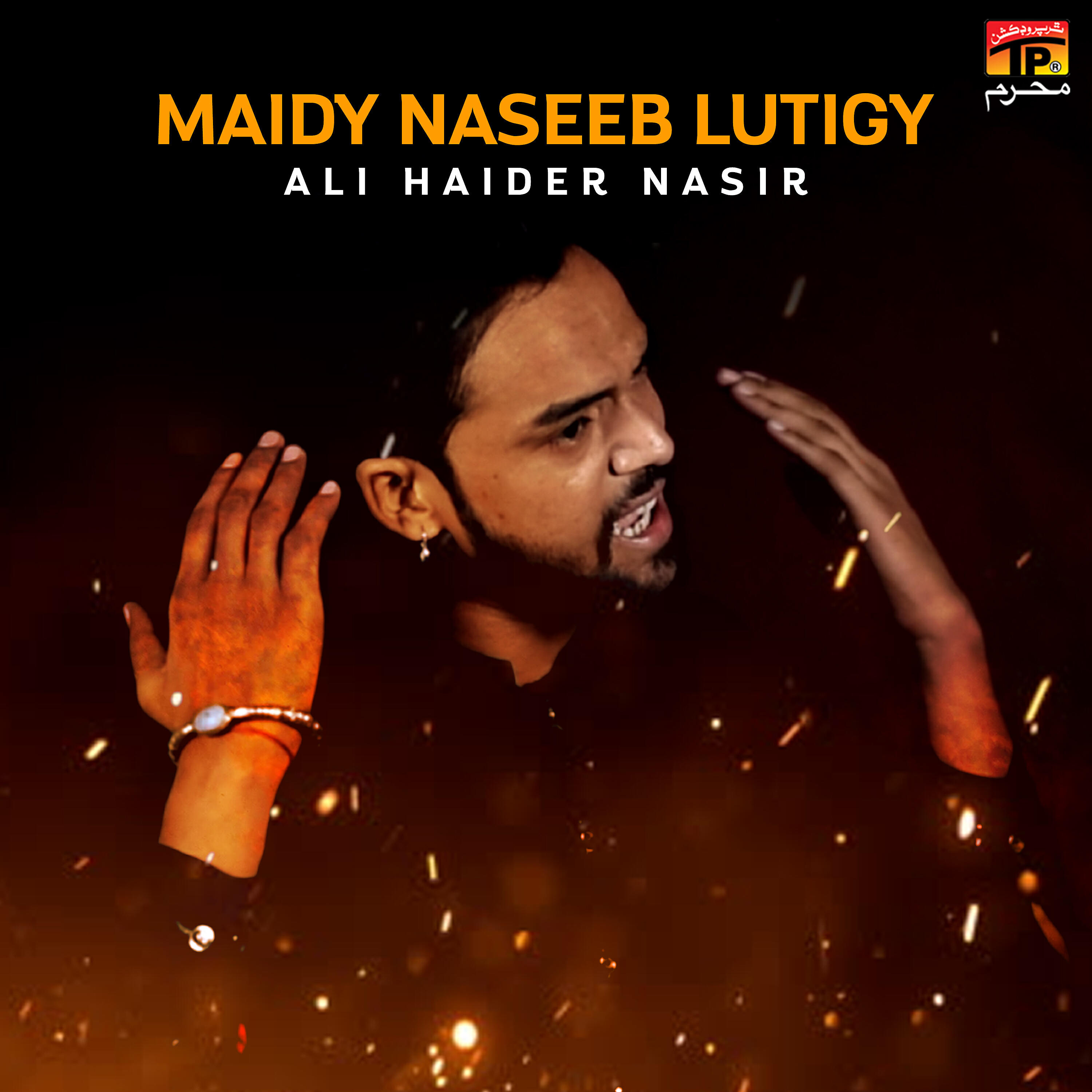 Ali Haider Nasir - Maidy Naseeb Lutigy