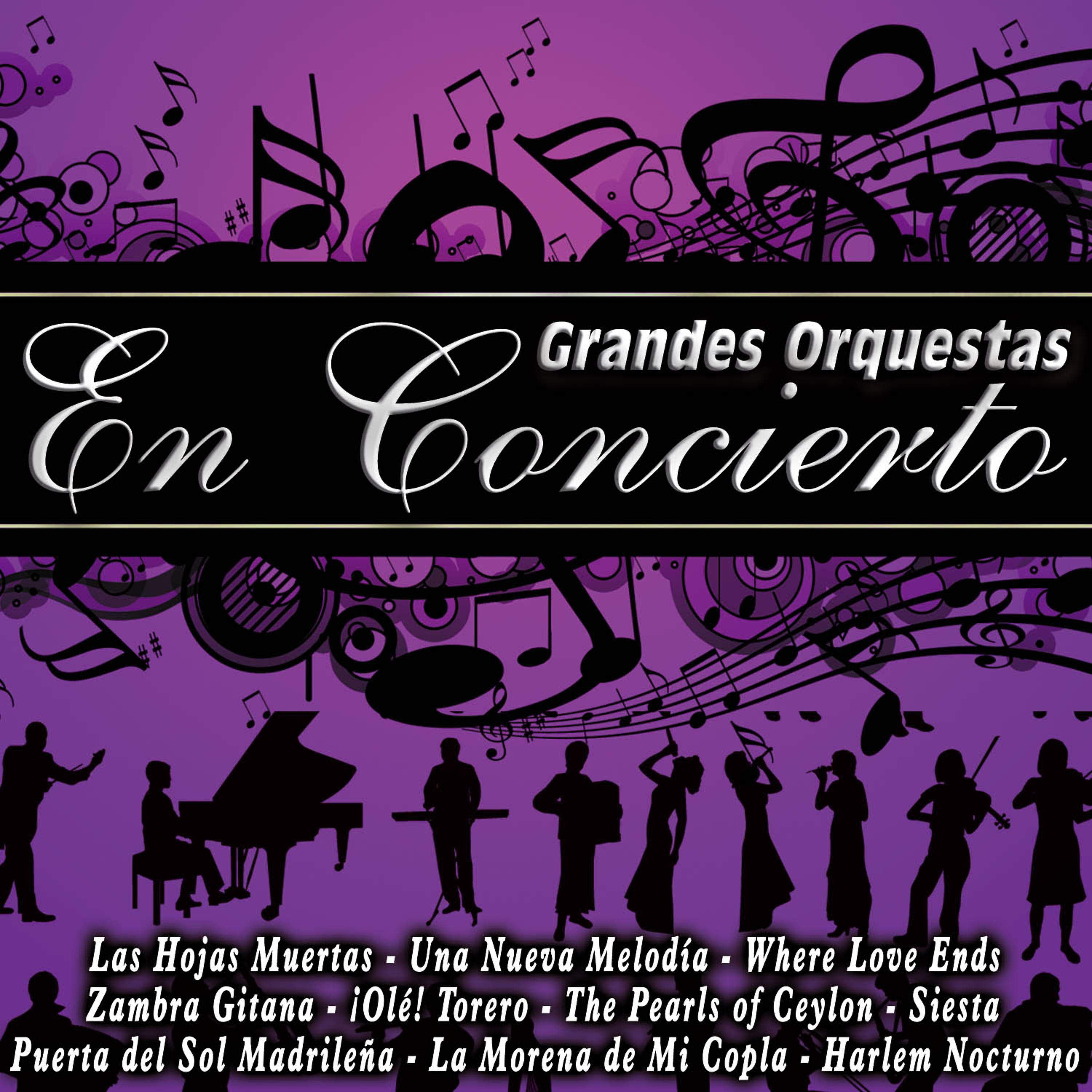 Постер альбома Grandes Orquestas en Concierto