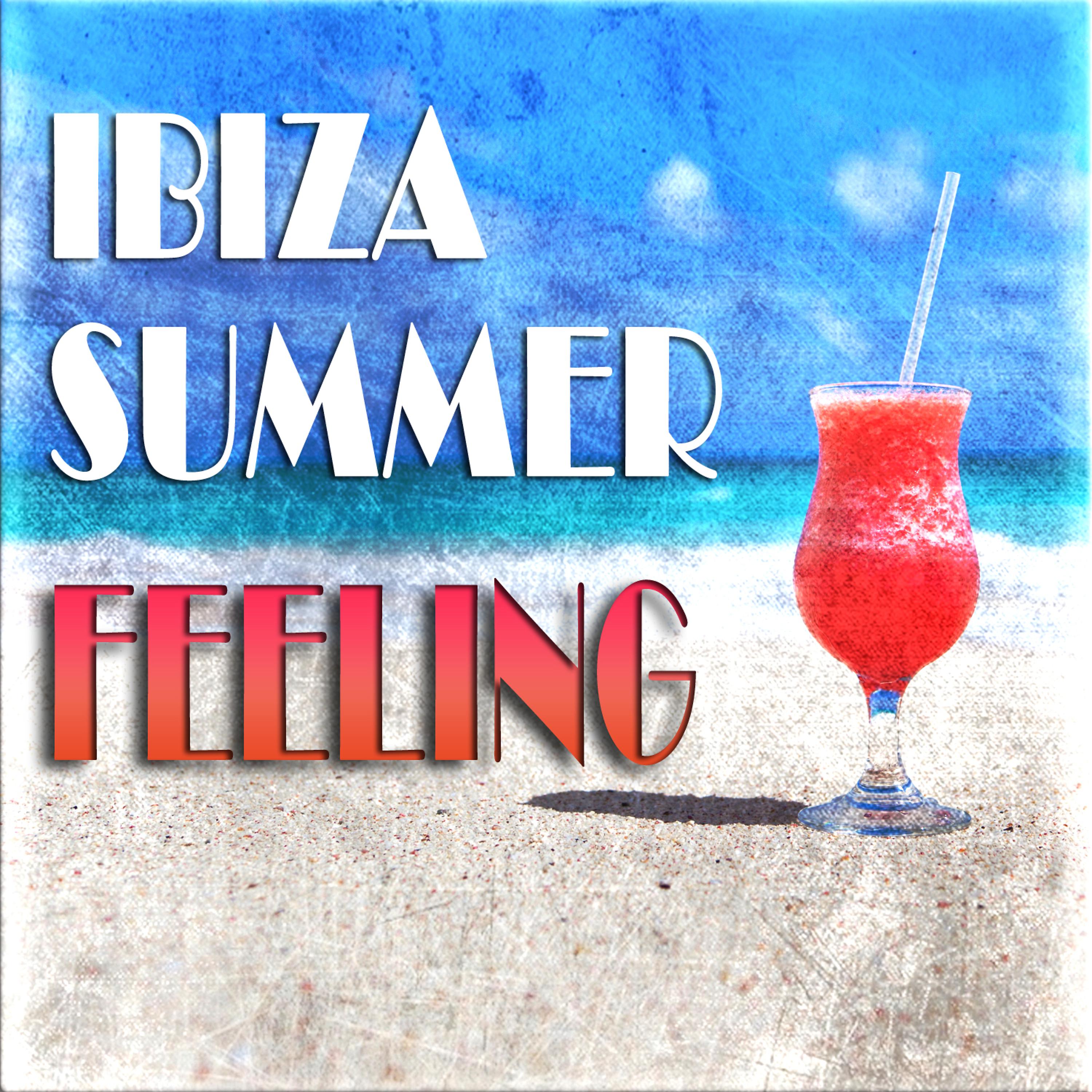 Постер альбома Ibiza Summer Feeling