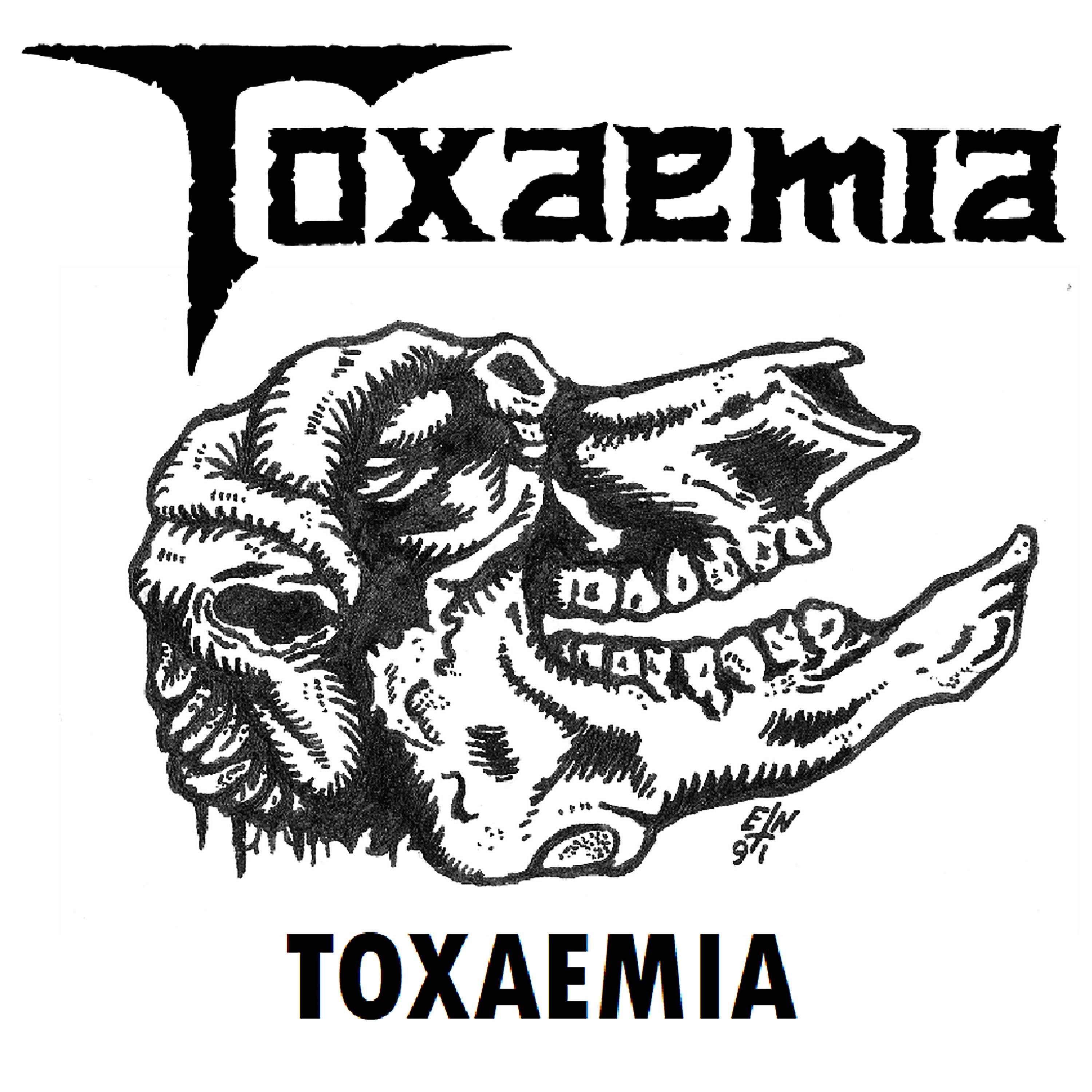 Постер альбома Toxaemia