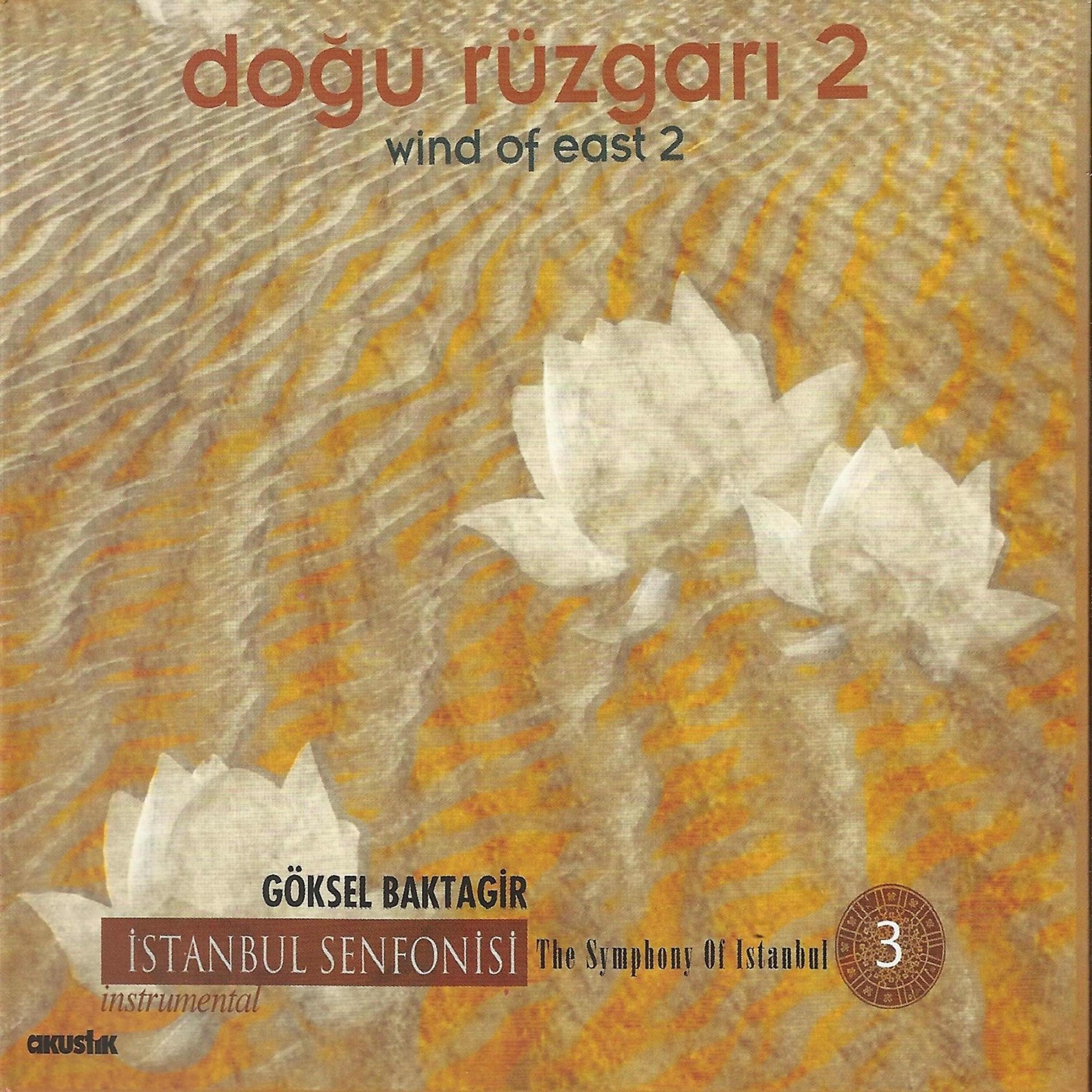 Постер альбома Doğu Rüzgarı 2 & Sıla