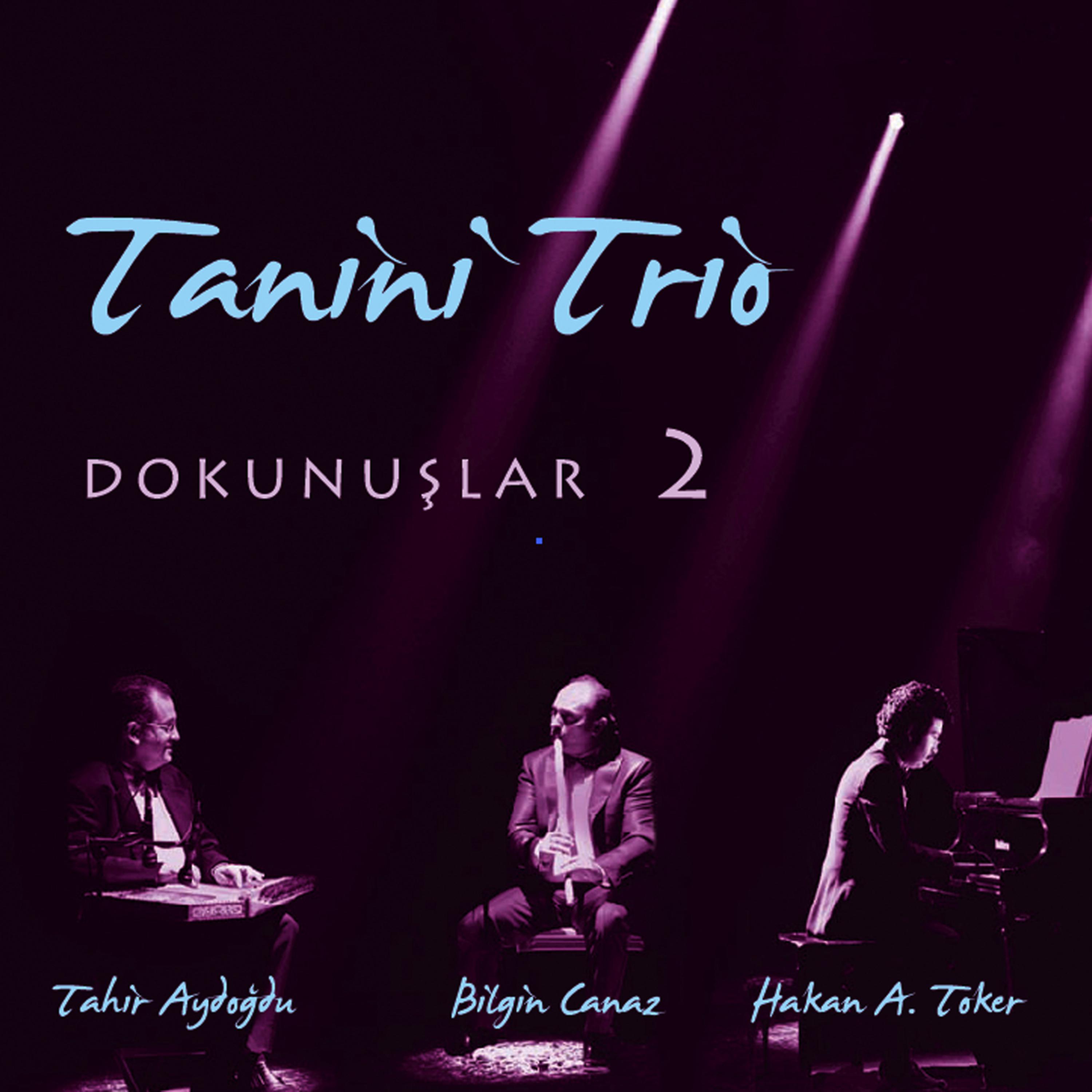 Постер альбома Tanini Trio Dokunuşlar 2