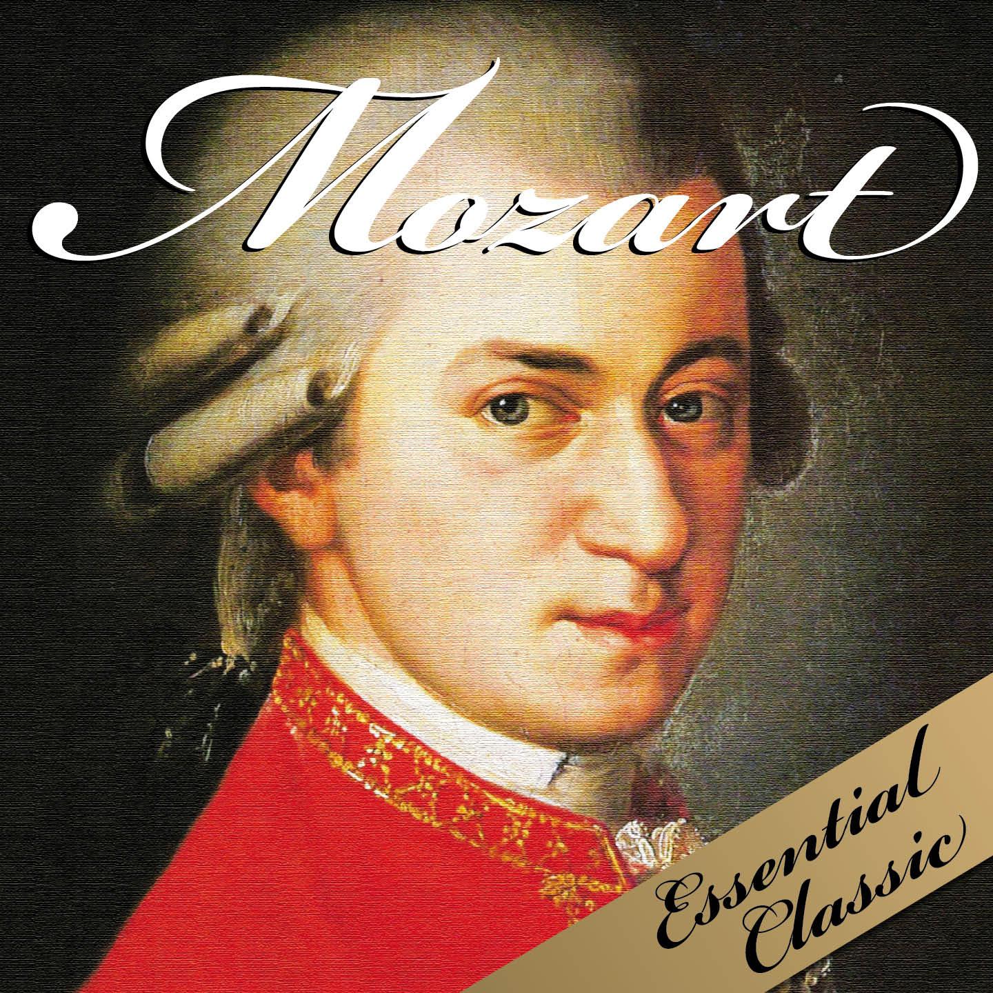Постер альбома Mozart : Essential Classic