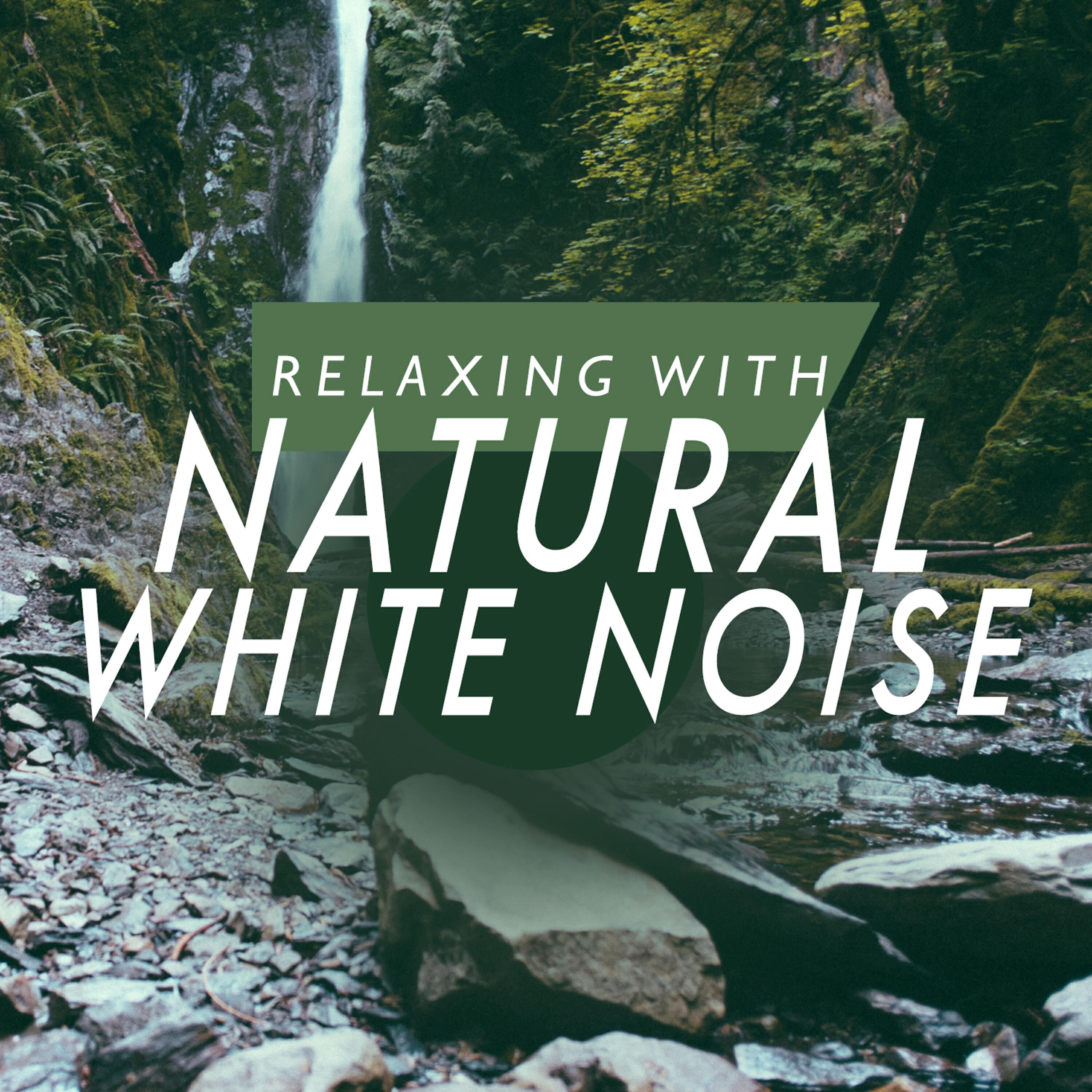 Relaxing - Indigenous Birds