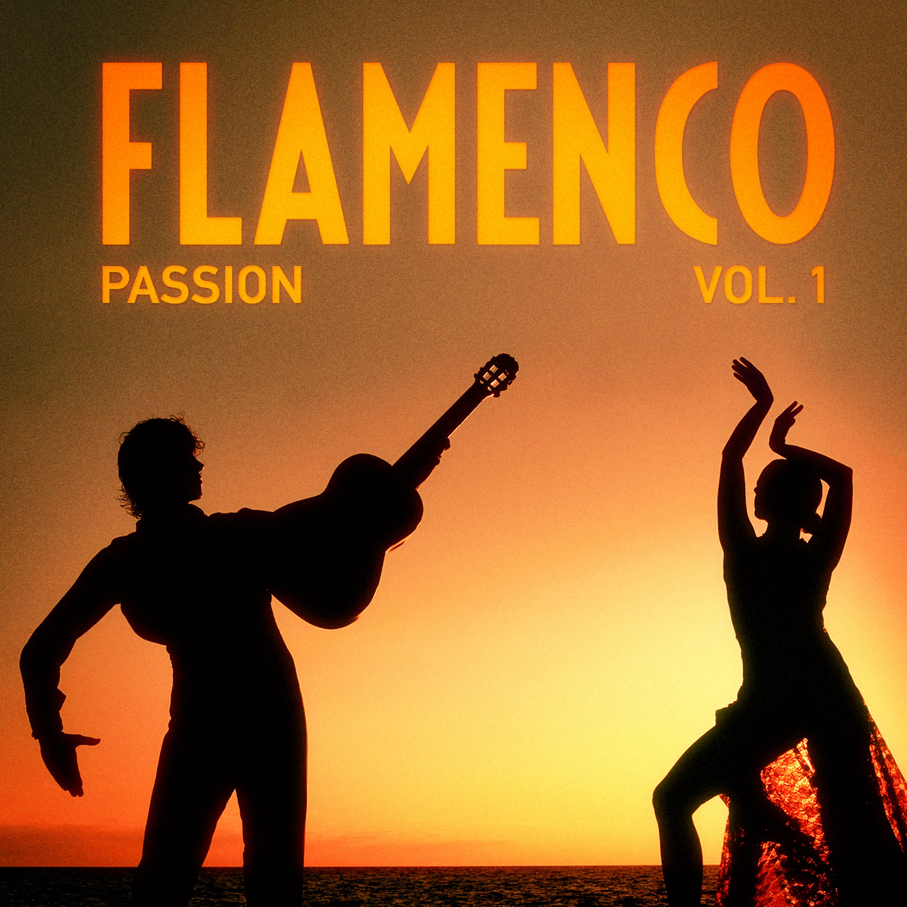 Постер альбома Flamenco Passion, Vol. 1 (The Art of Spanish Guitar)