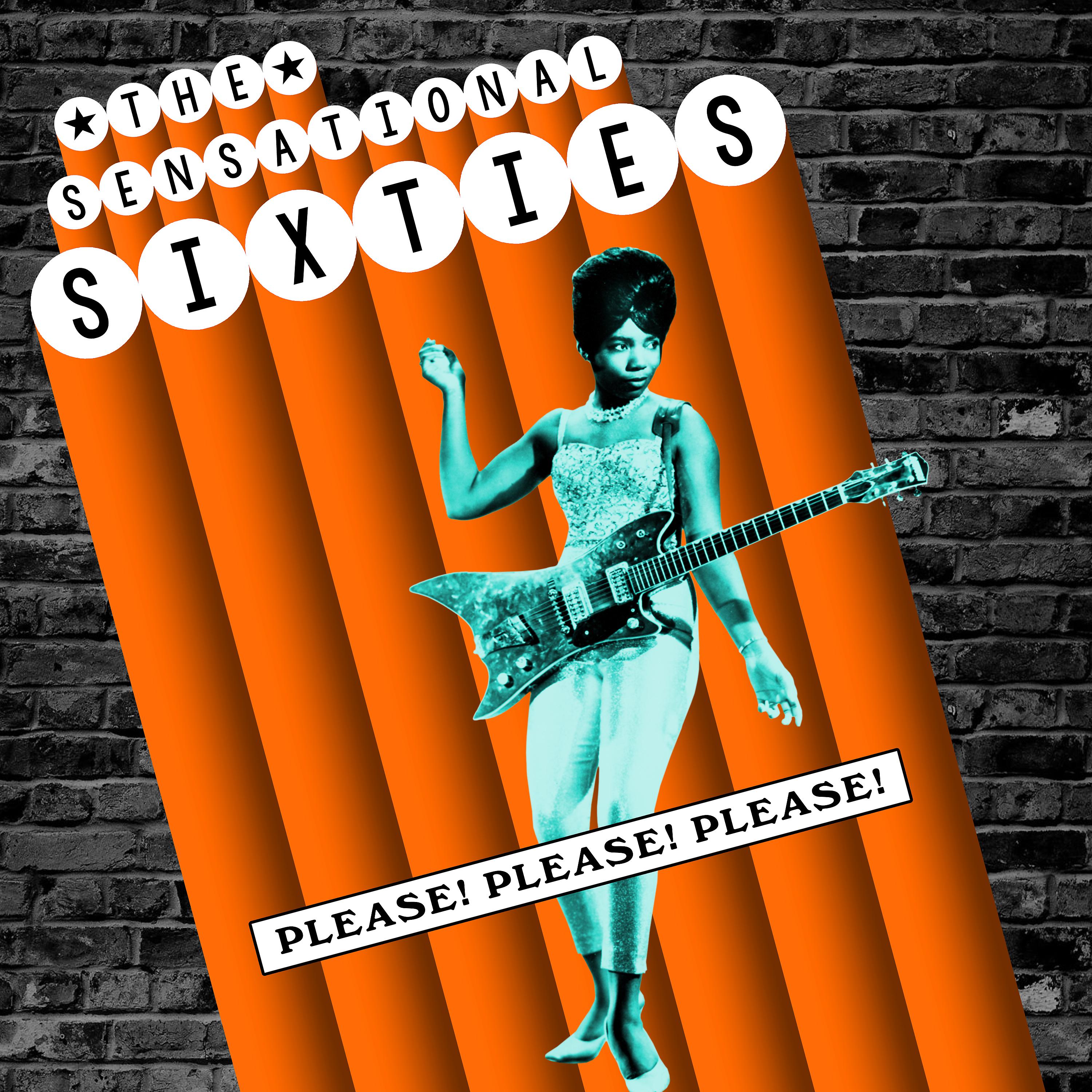 Постер альбома The Sensational Sixties - Please! Please! Please!
