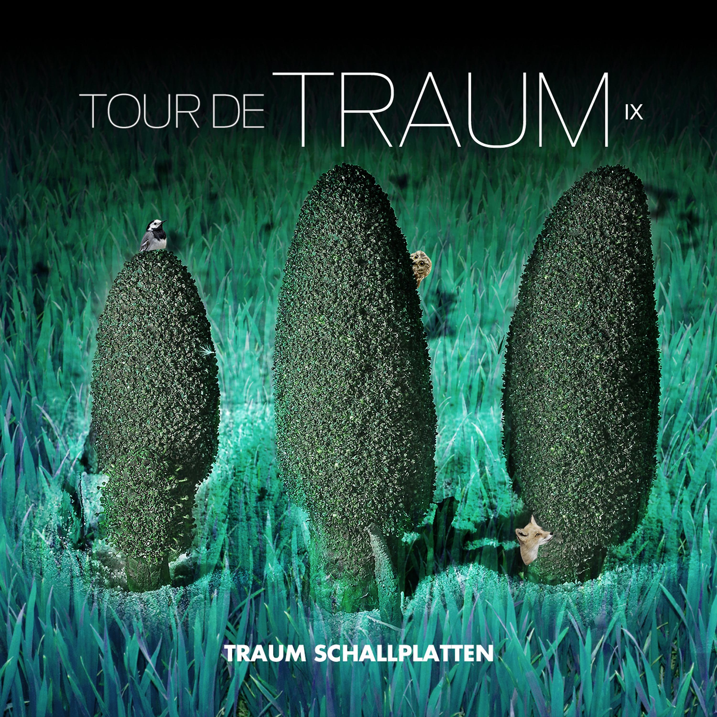 Постер альбома Tour De Traum IX Mixed by Riley Reinhold