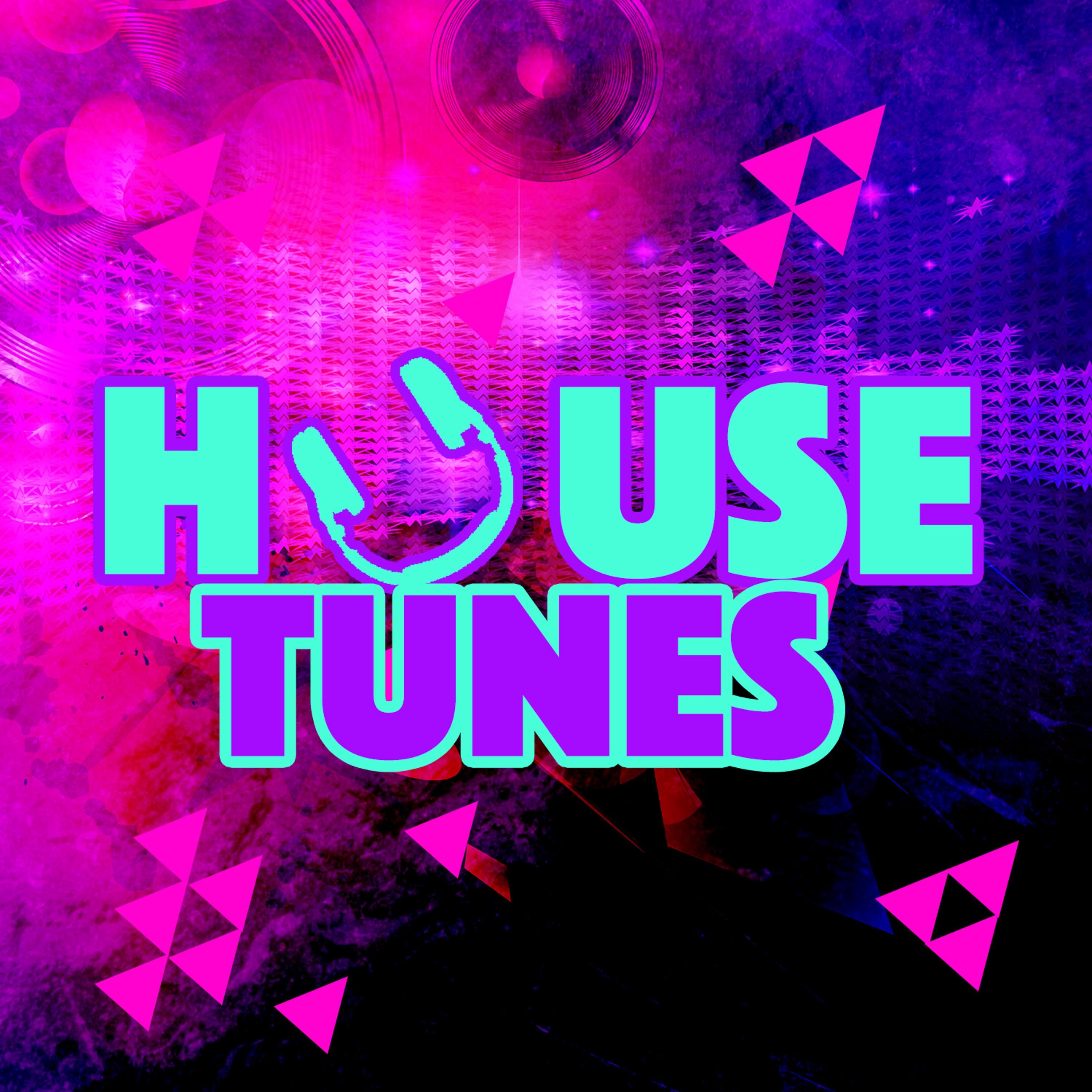 Постер альбома House Tunes