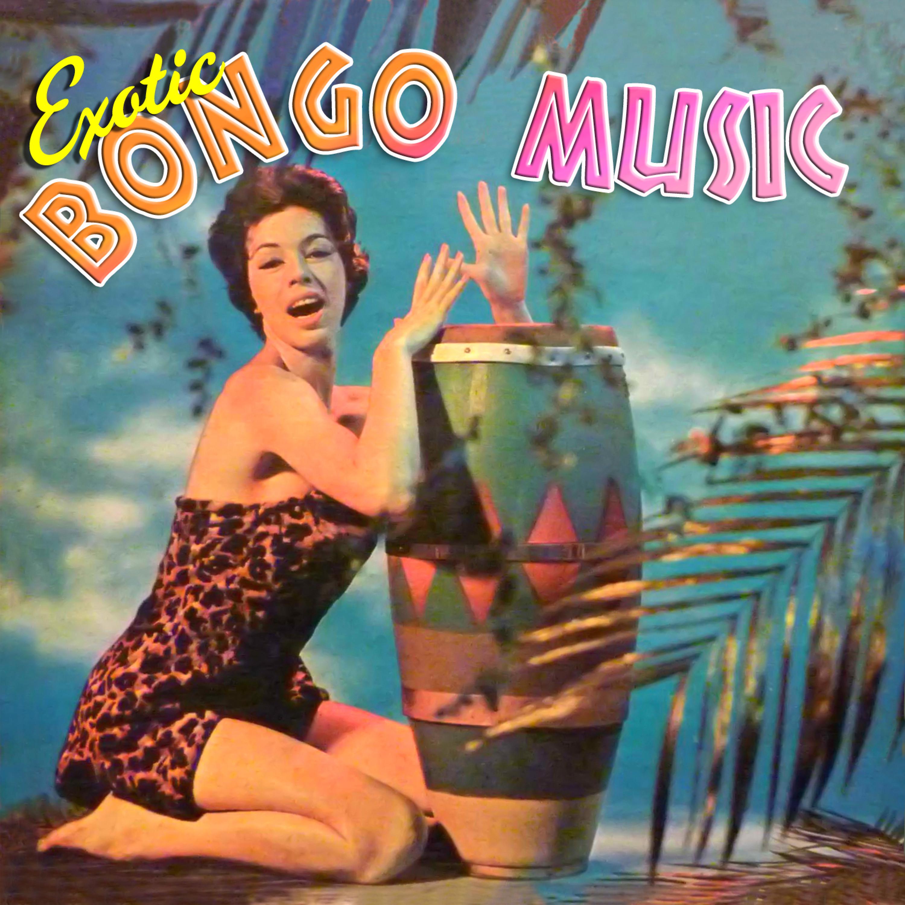 Постер альбома Exotic Bongo Music