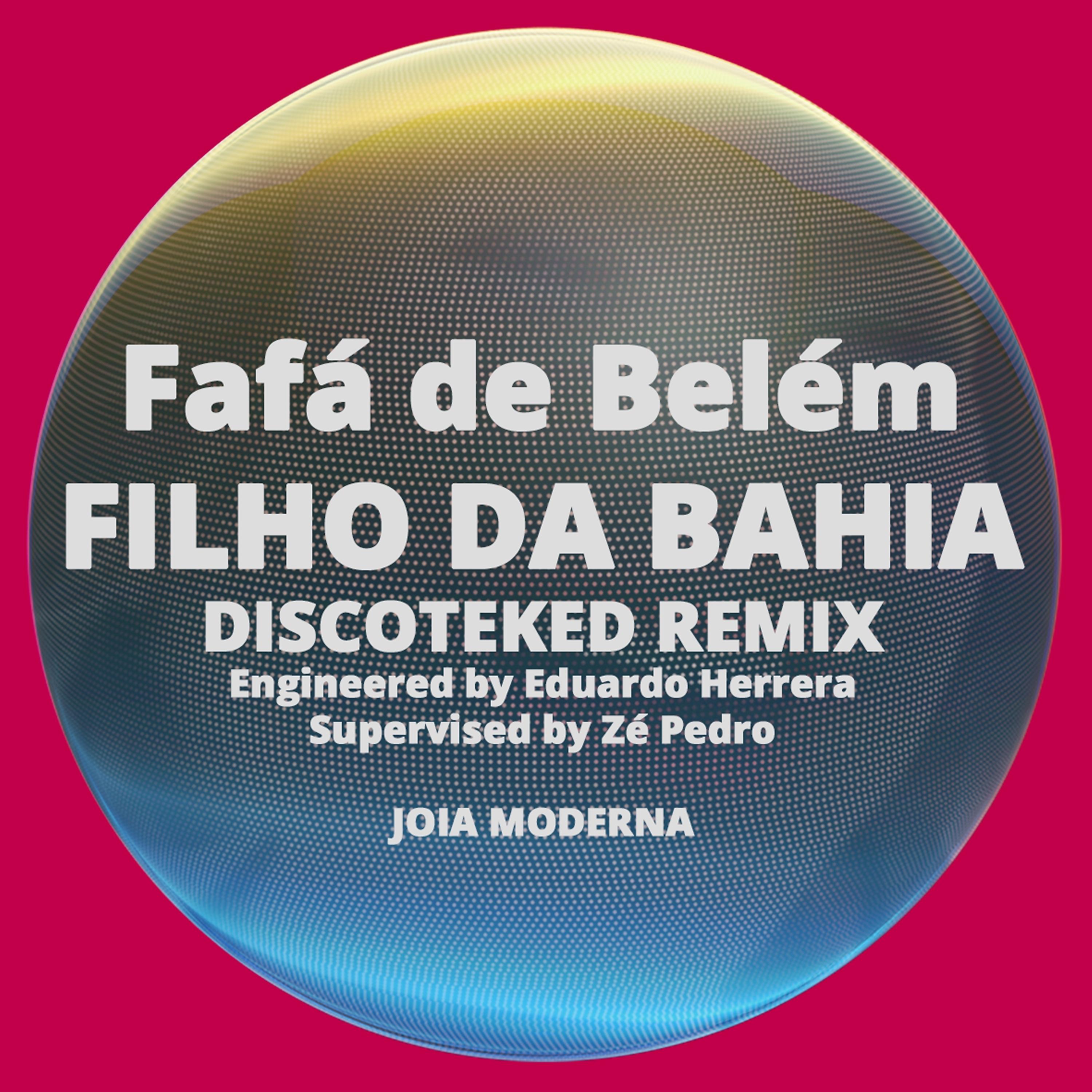 Постер альбома Filho da Bahia (Discoteked Remix)