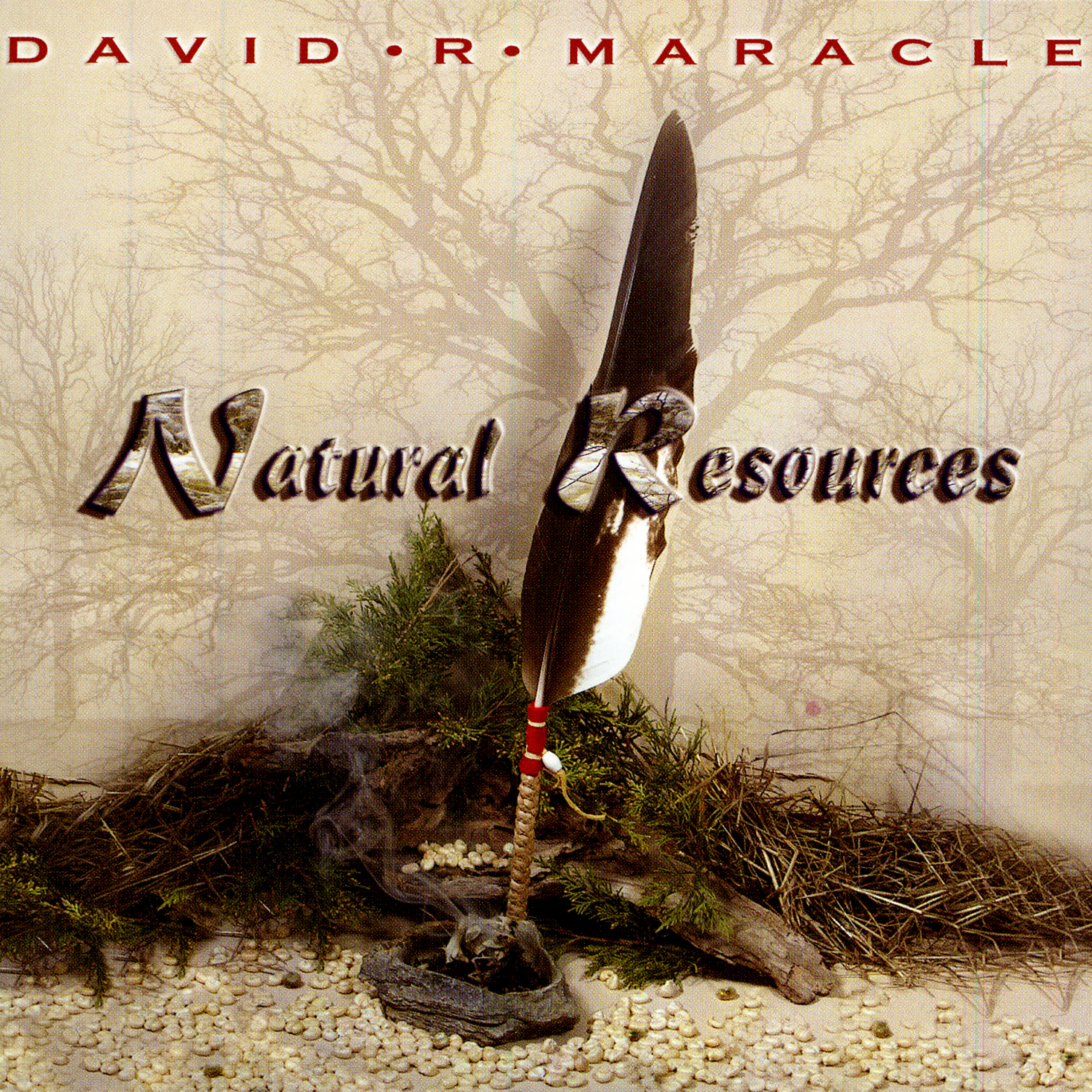 David R. Maracle - Rattle Snake - 2 Bites