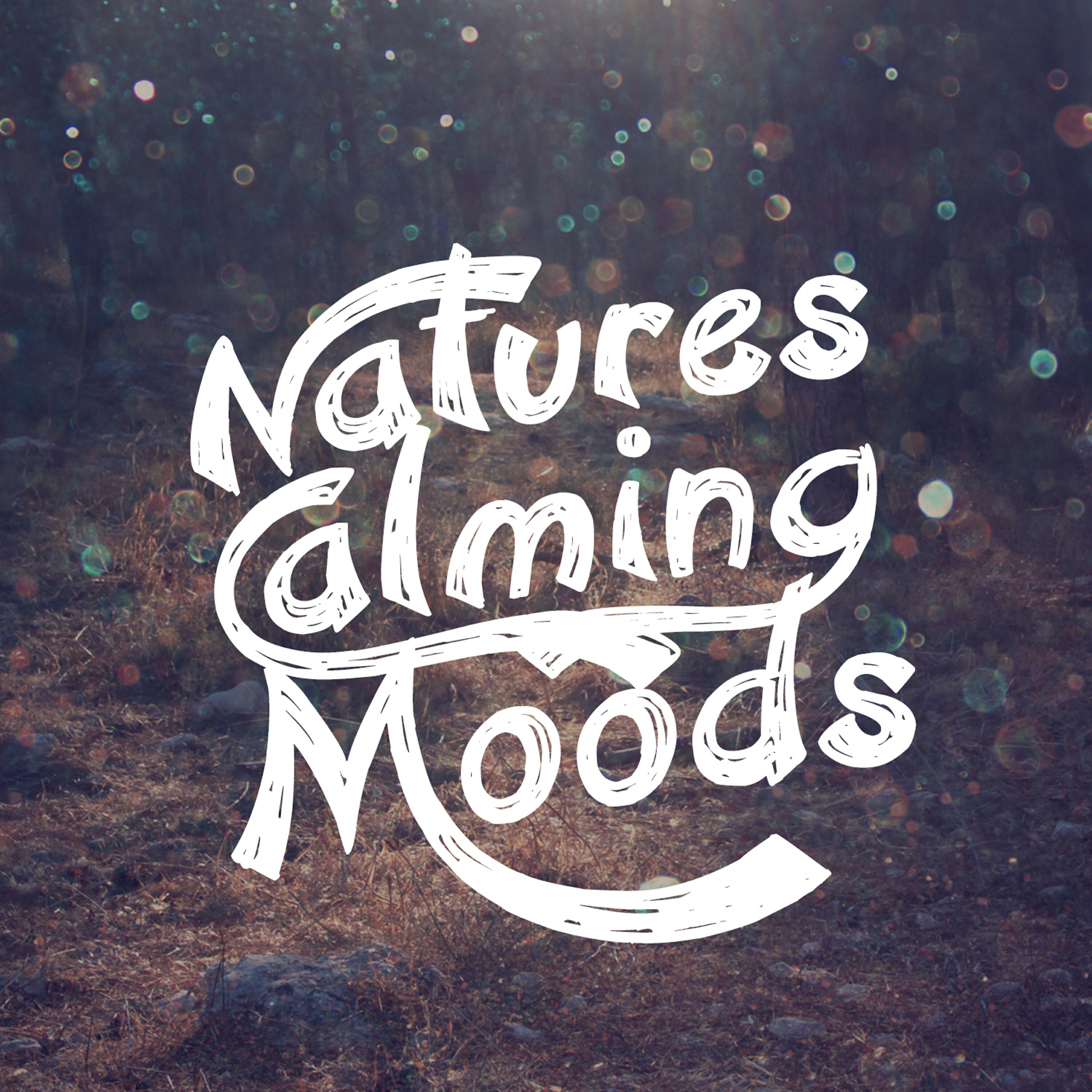 Nature Moods - Life at the Waterside
