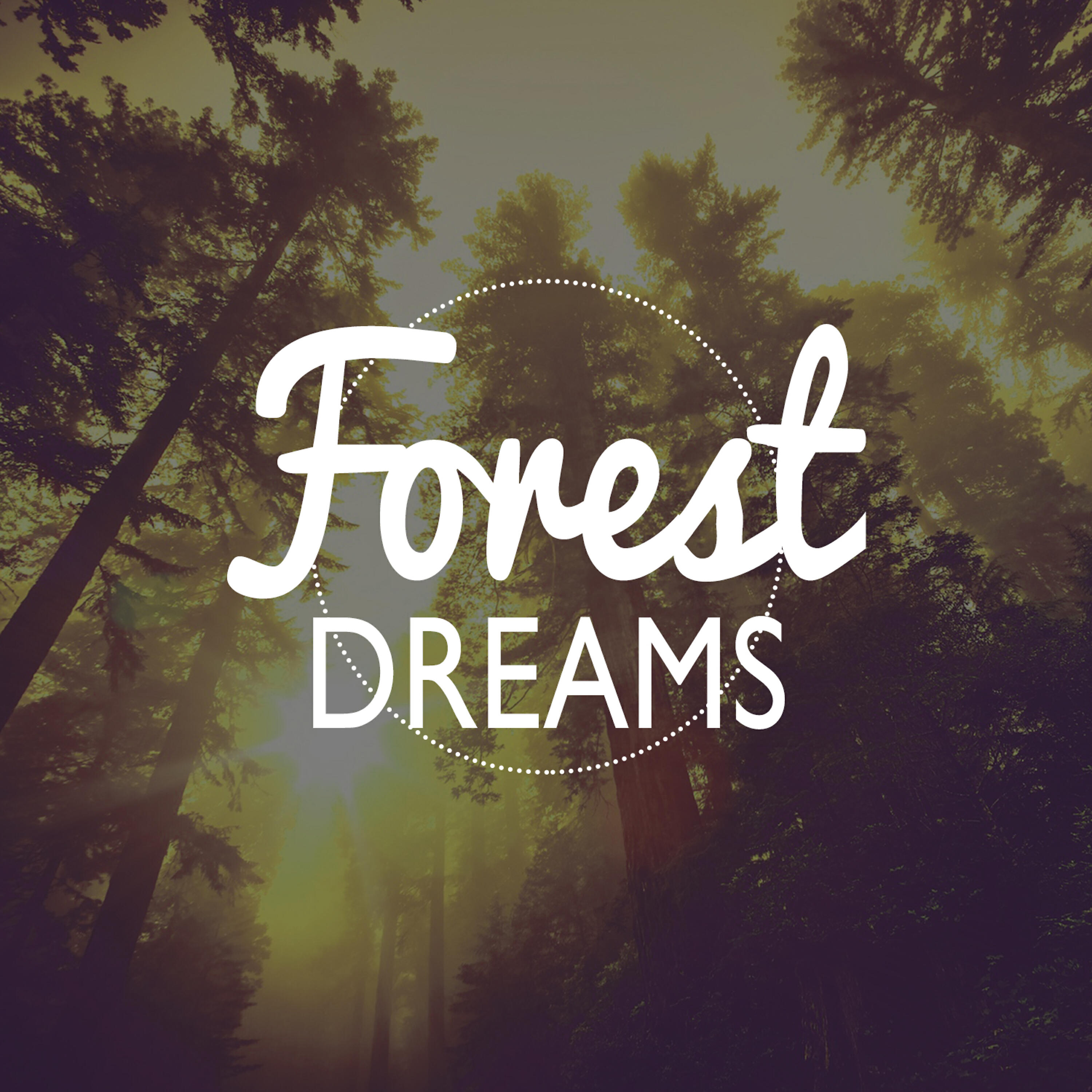 Dreams of Nature - Rural Birds