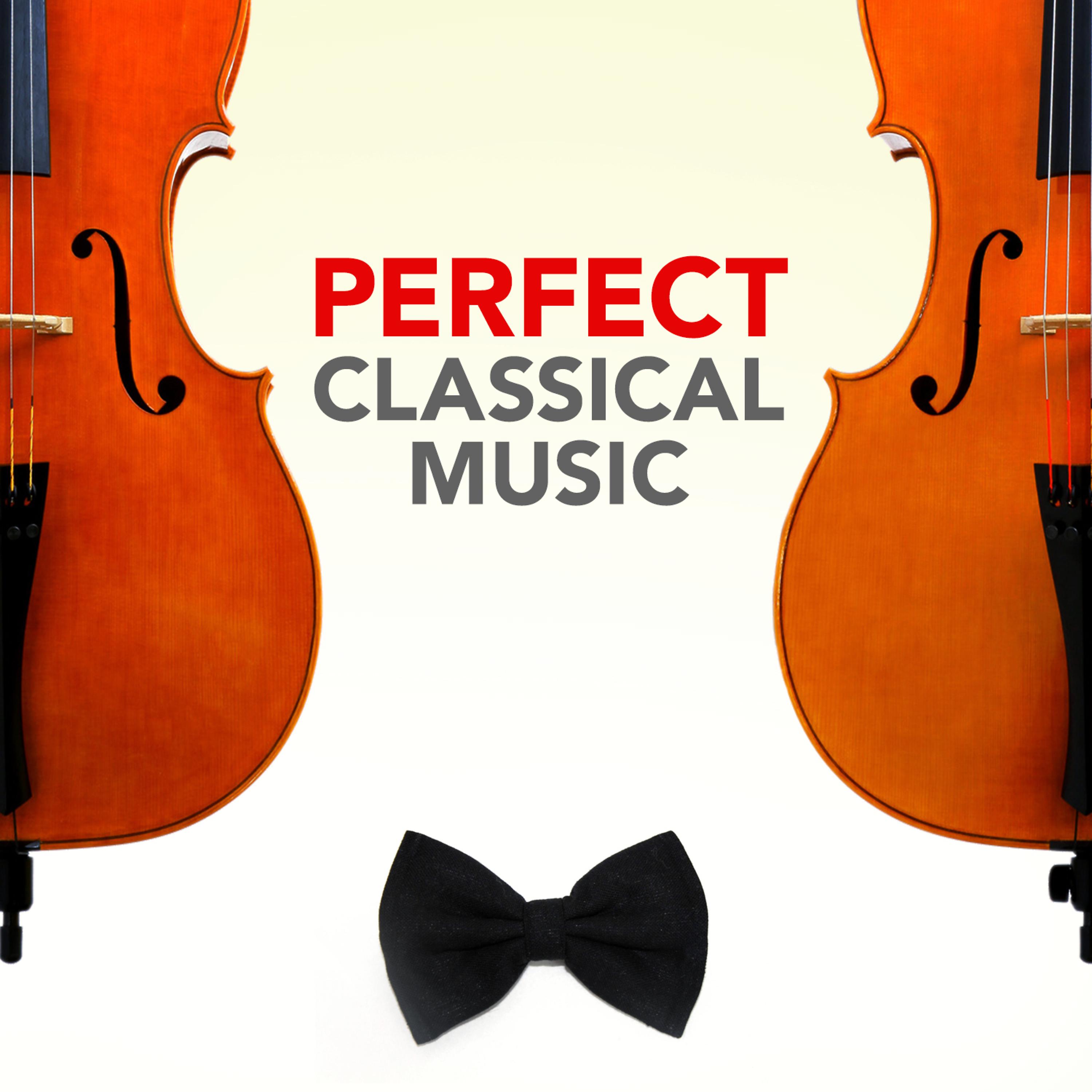 Постер альбома Perfect Classical Music