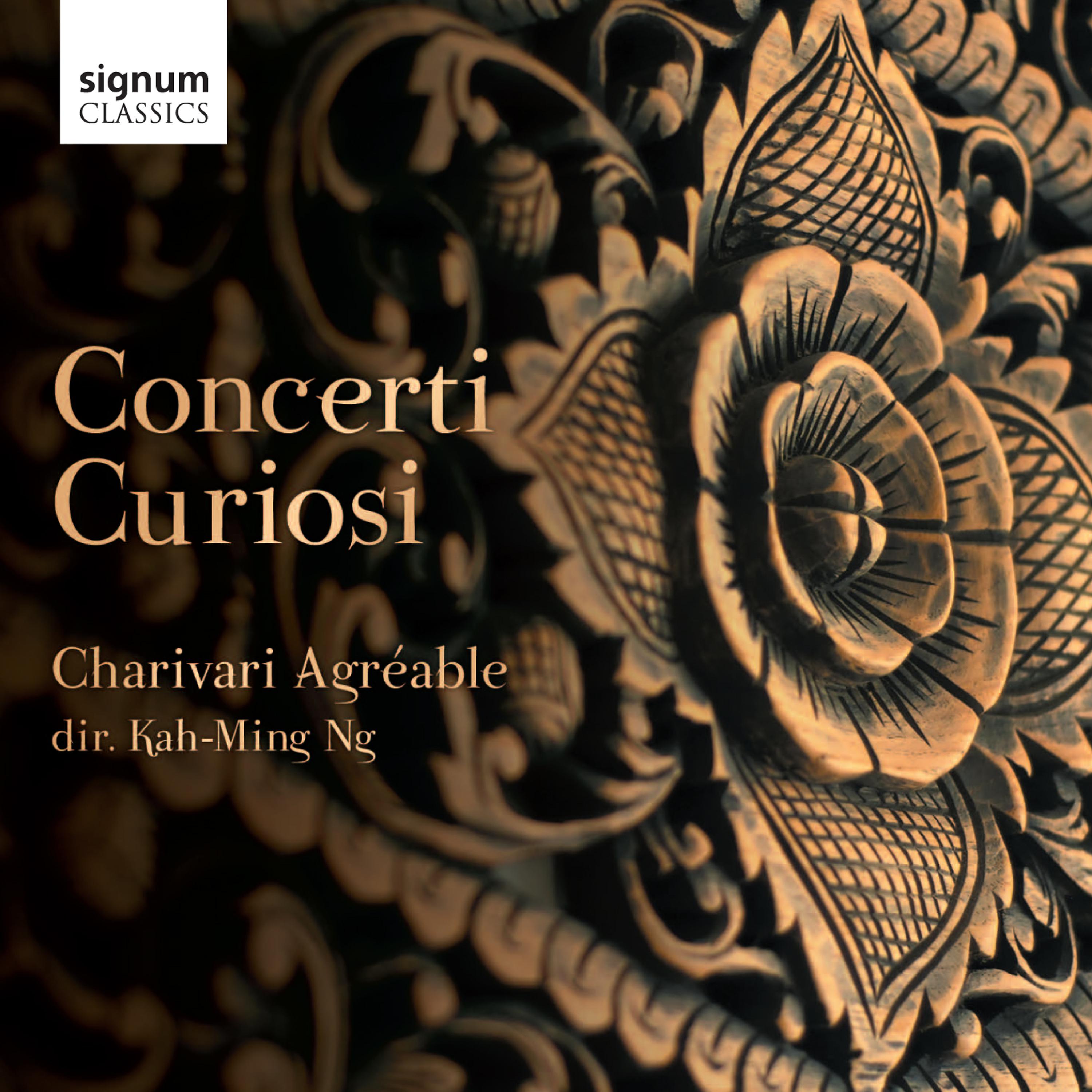 Постер альбома Concerti Curiosi