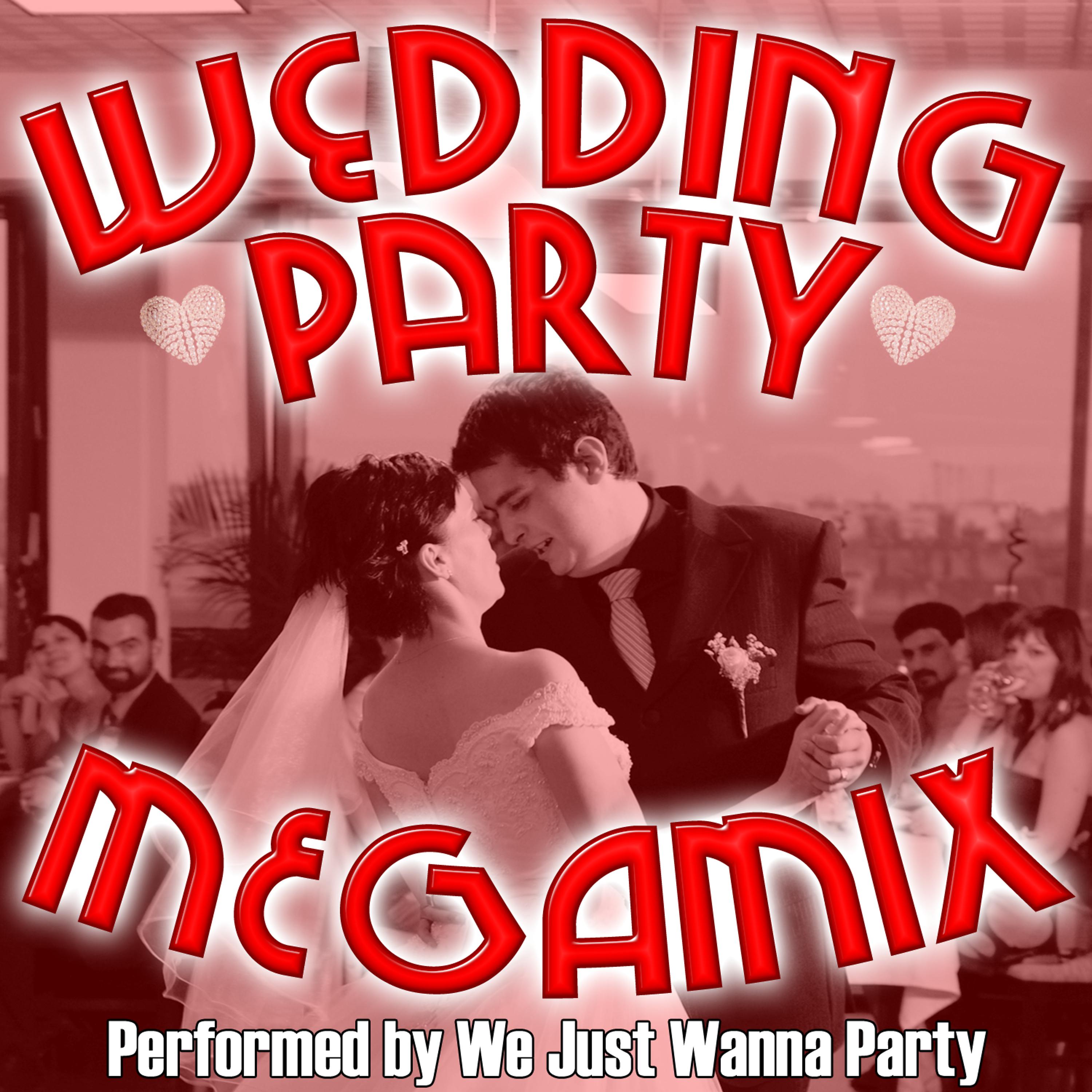 Постер альбома Wedding Party Megamix