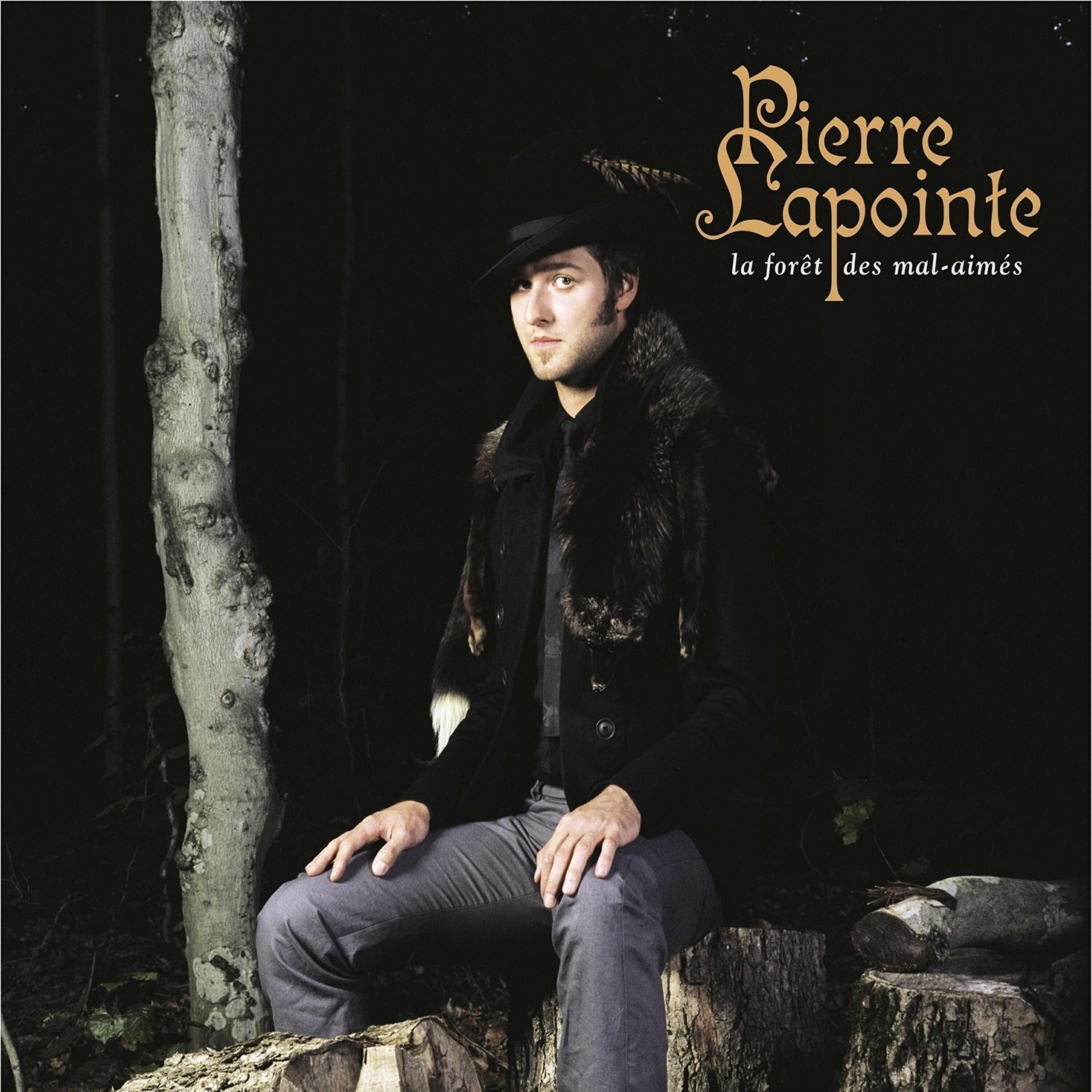 Pierre Lapointe - De glace