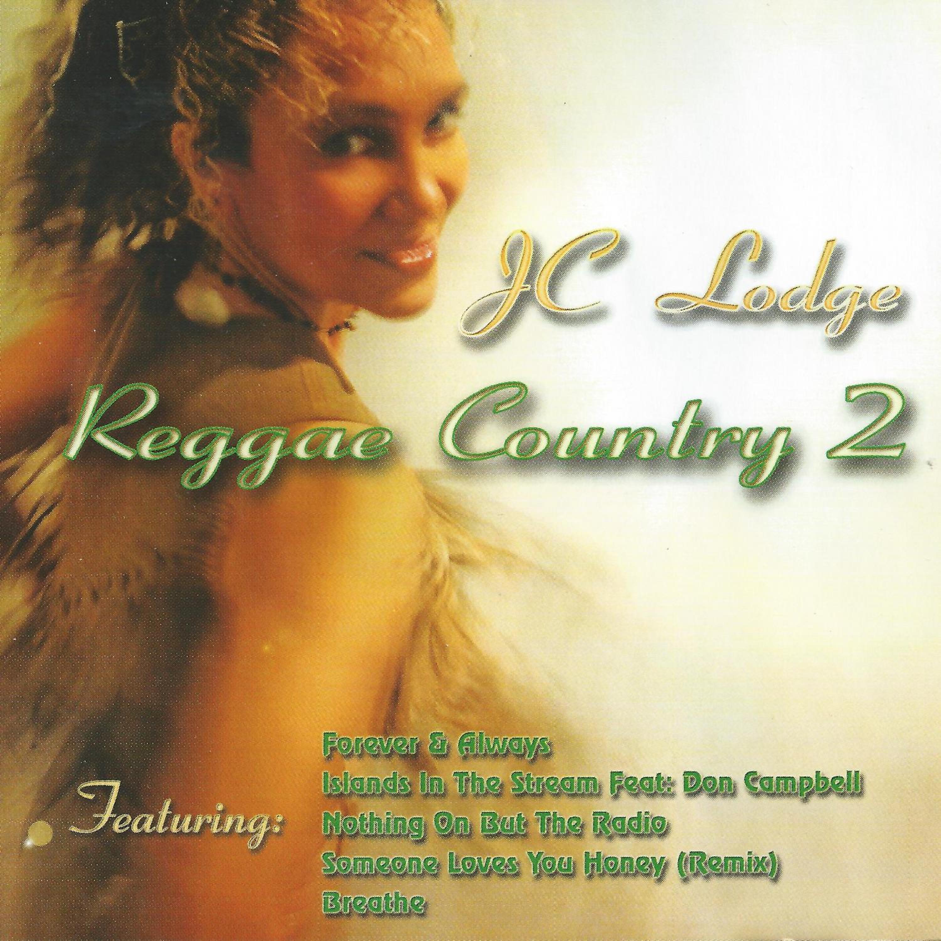 Постер альбома Reggae Country 2