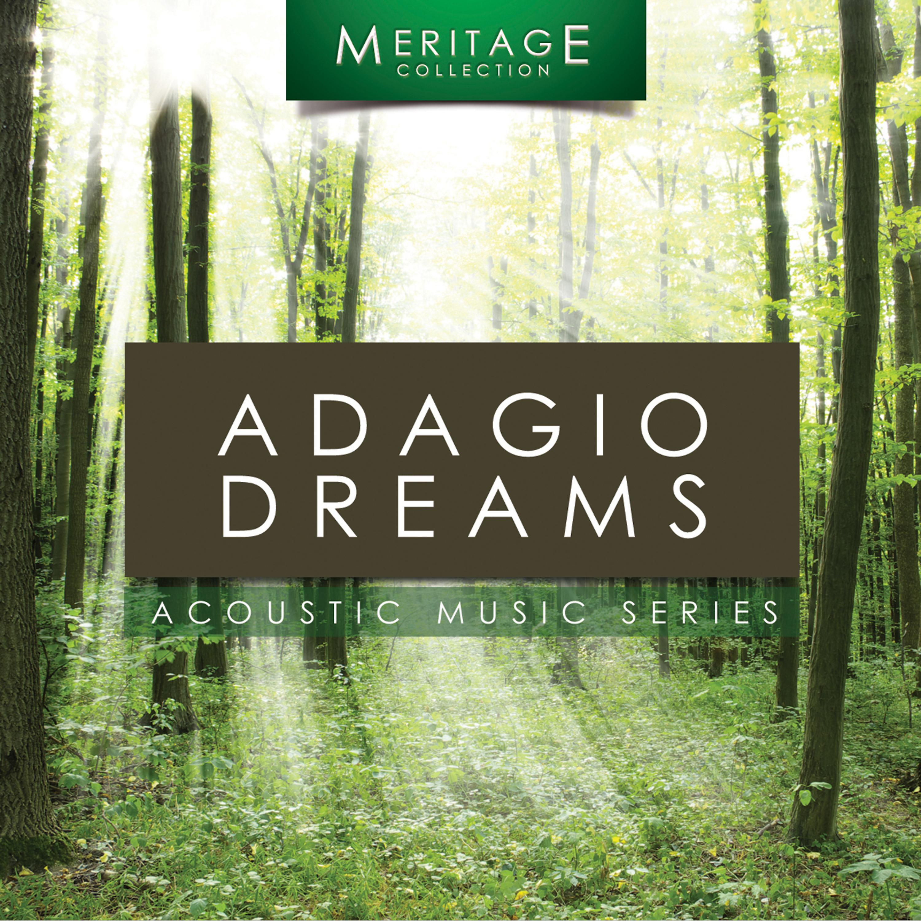 Постер альбома Meritage Acoustic: Adagio Dreams