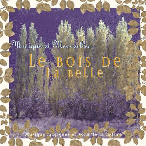 Постер альбома Musique et merveilles: le bois de la belle