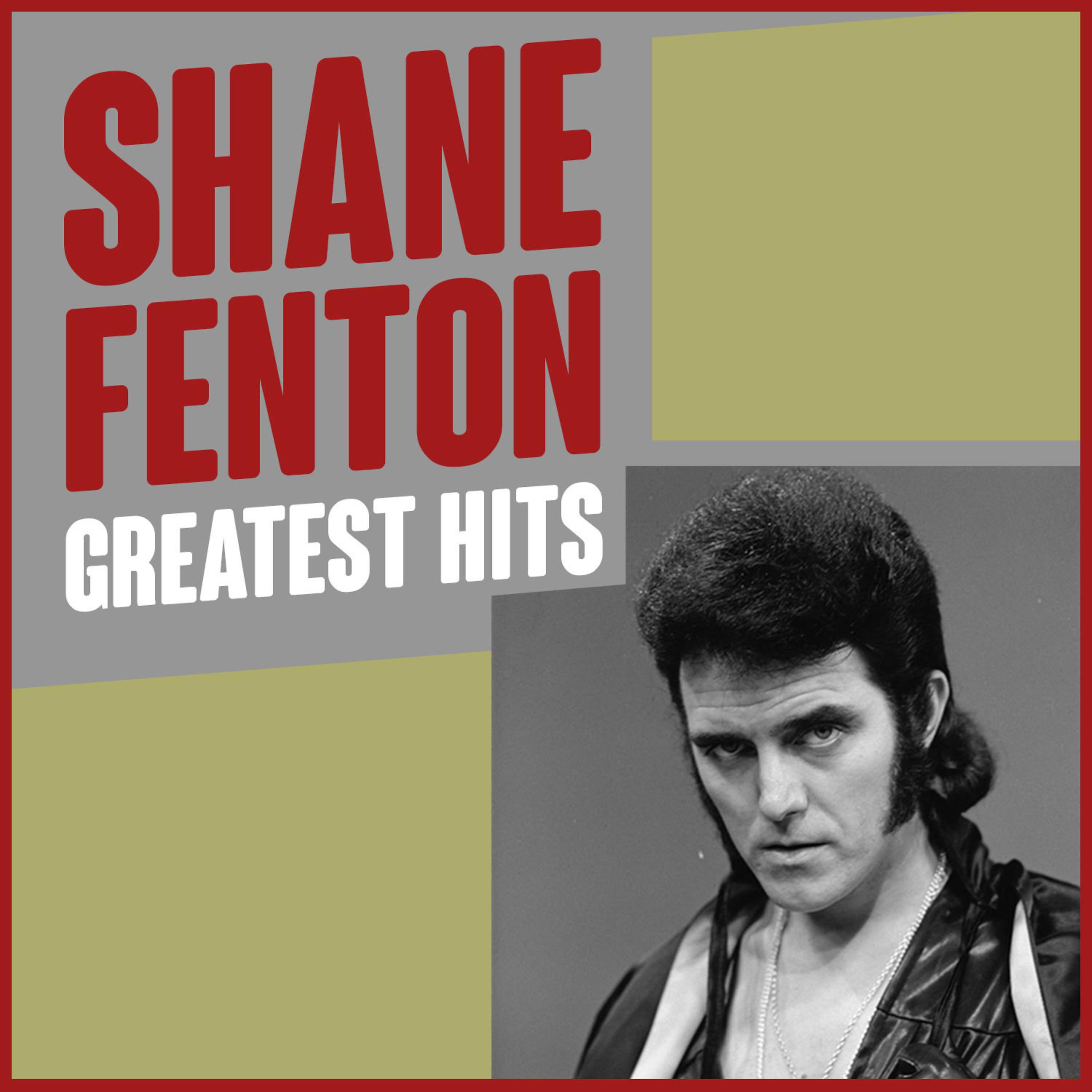 Постер альбома Shane Fenton Greatest Hits