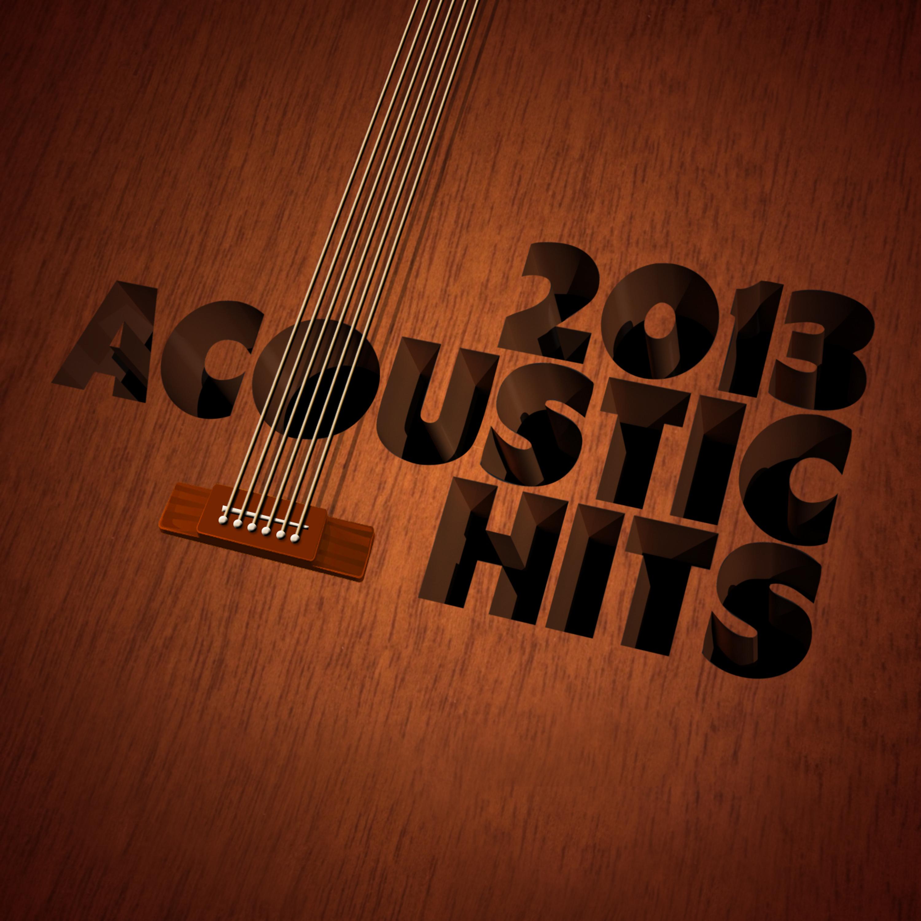 Постер альбома 2013 Acoustic Hits