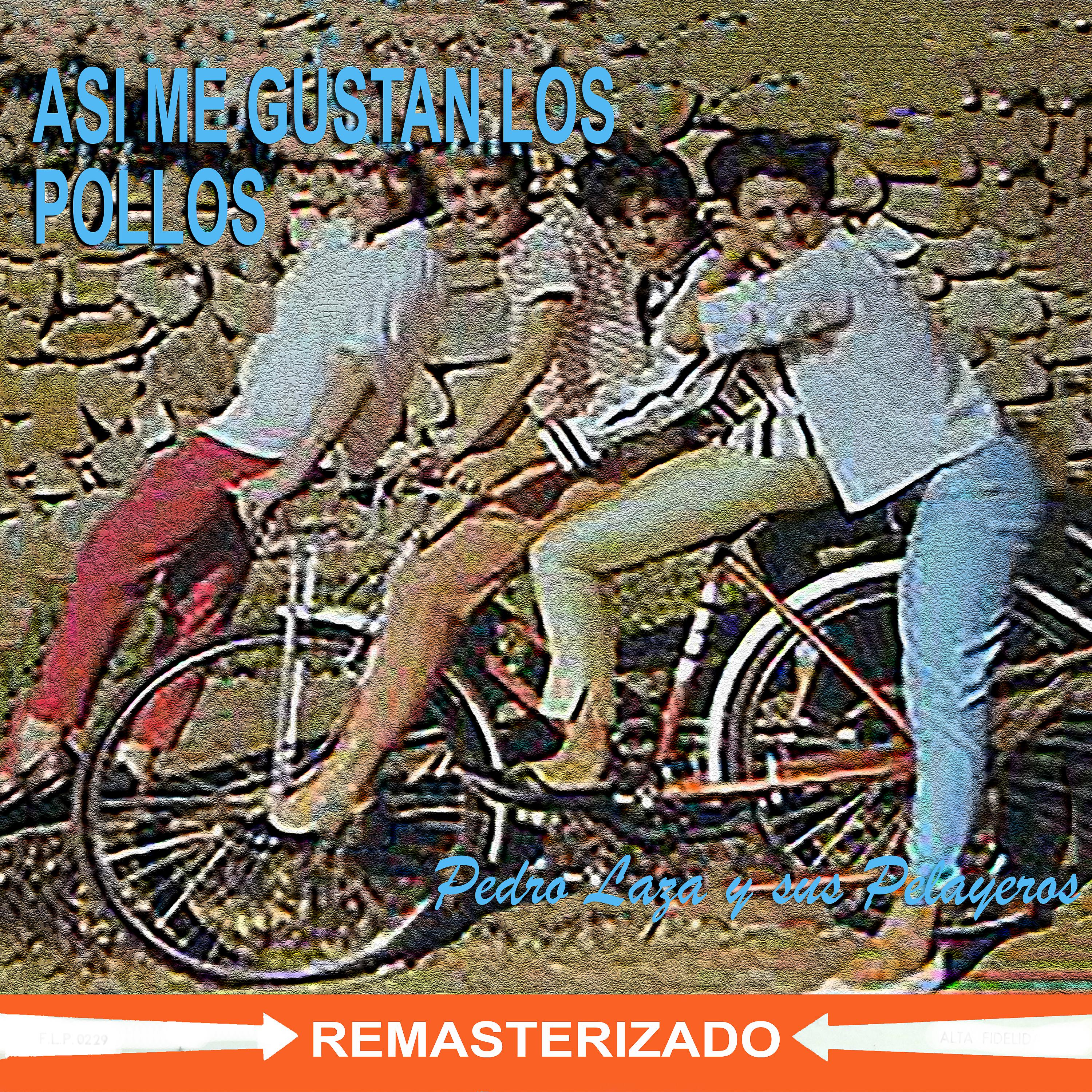 Постер альбома Así Me Gustan los Pollos