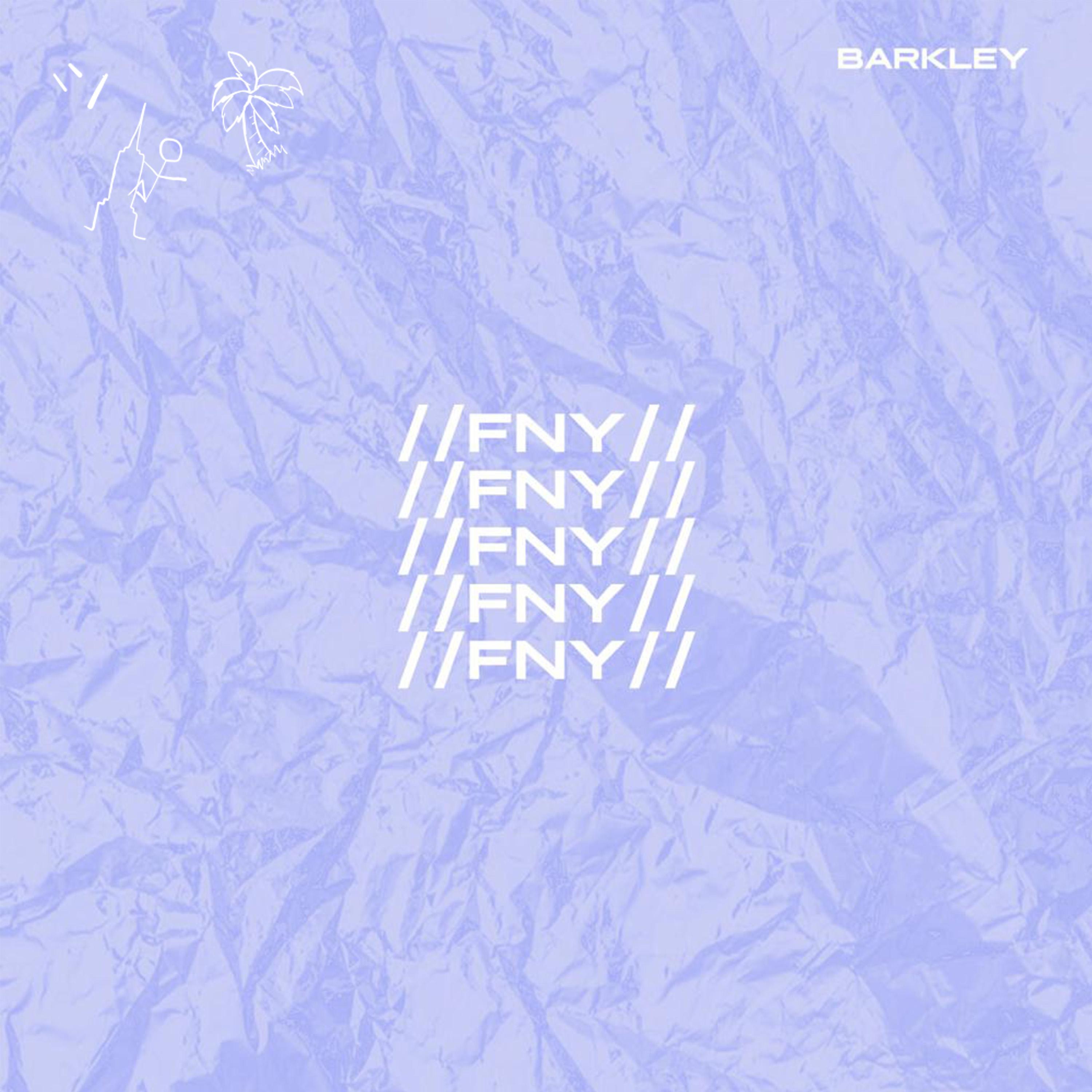 Постер альбома Fny