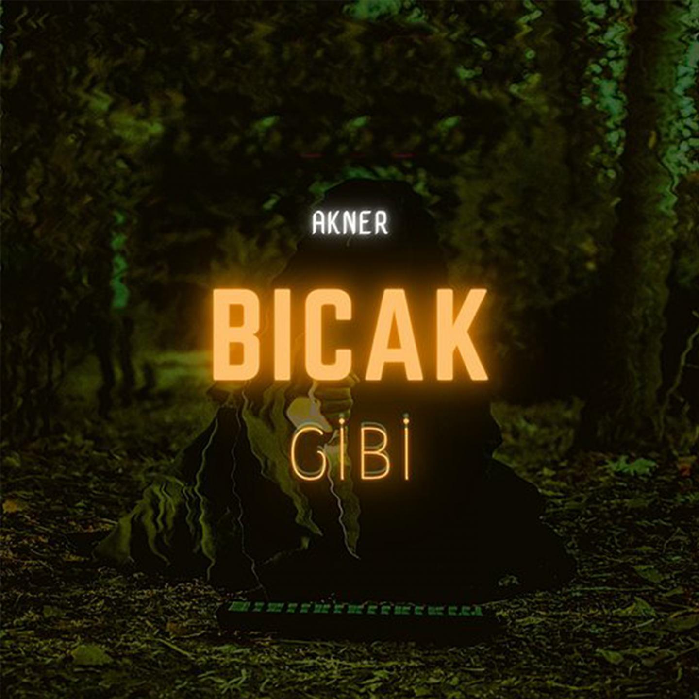 Постер альбома Bıçak Gibi