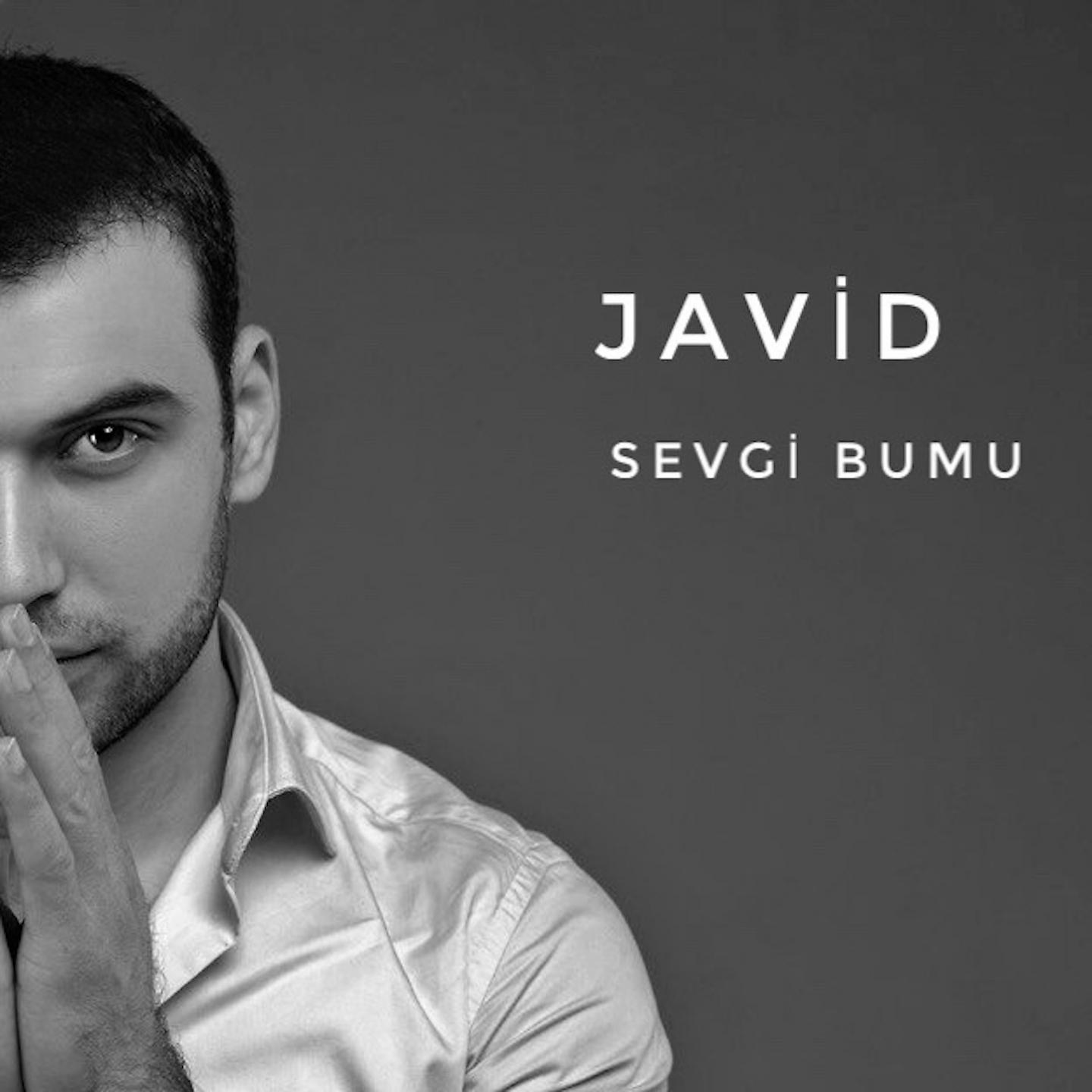 Постер альбома Sevgi Bumu