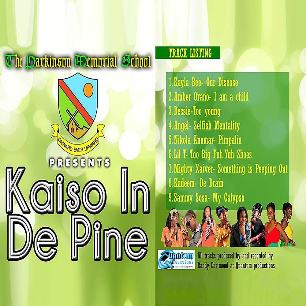 Постер альбома Kaiso in de Pine
