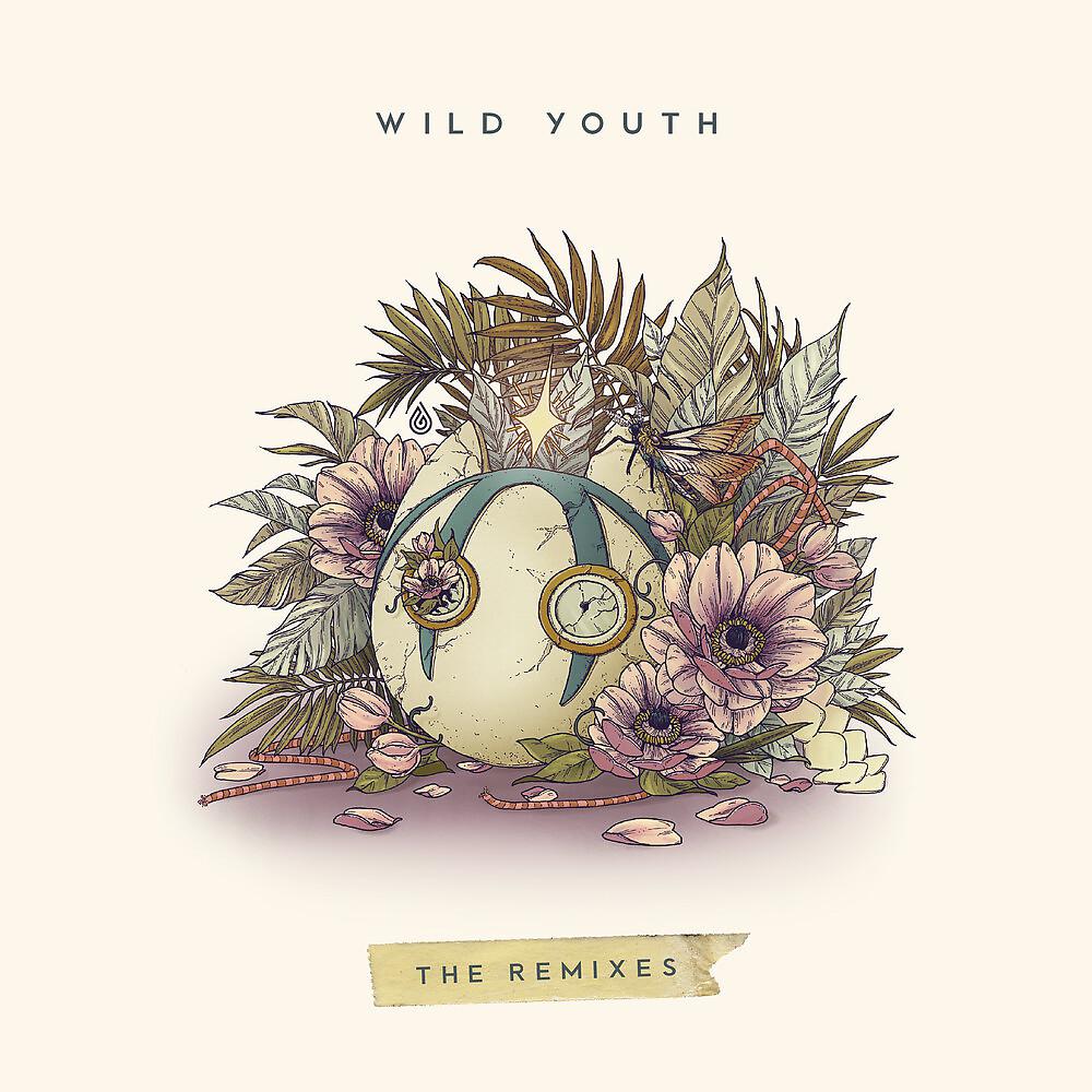 Постер альбома Wild Youth