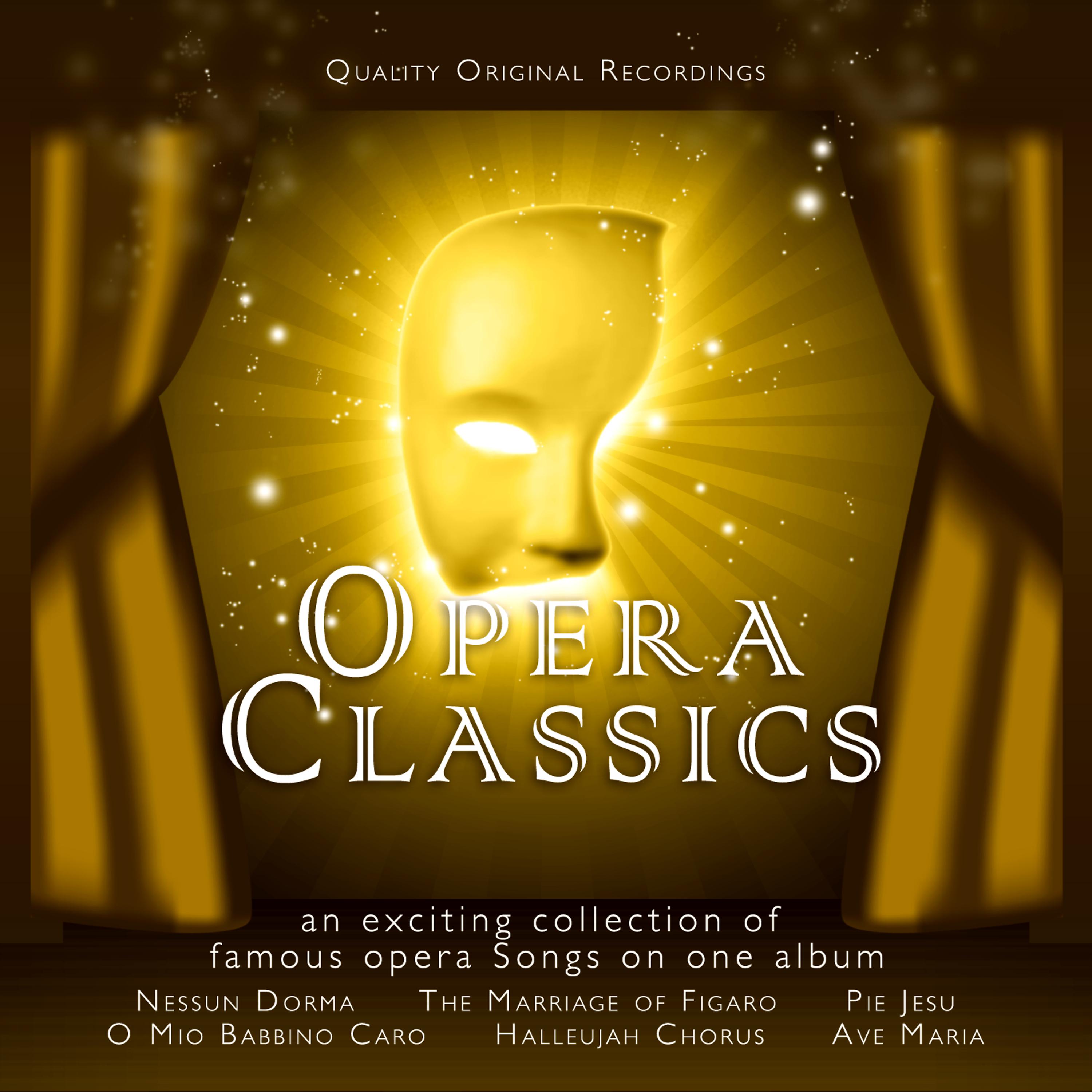 Постер альбома Opera Classics