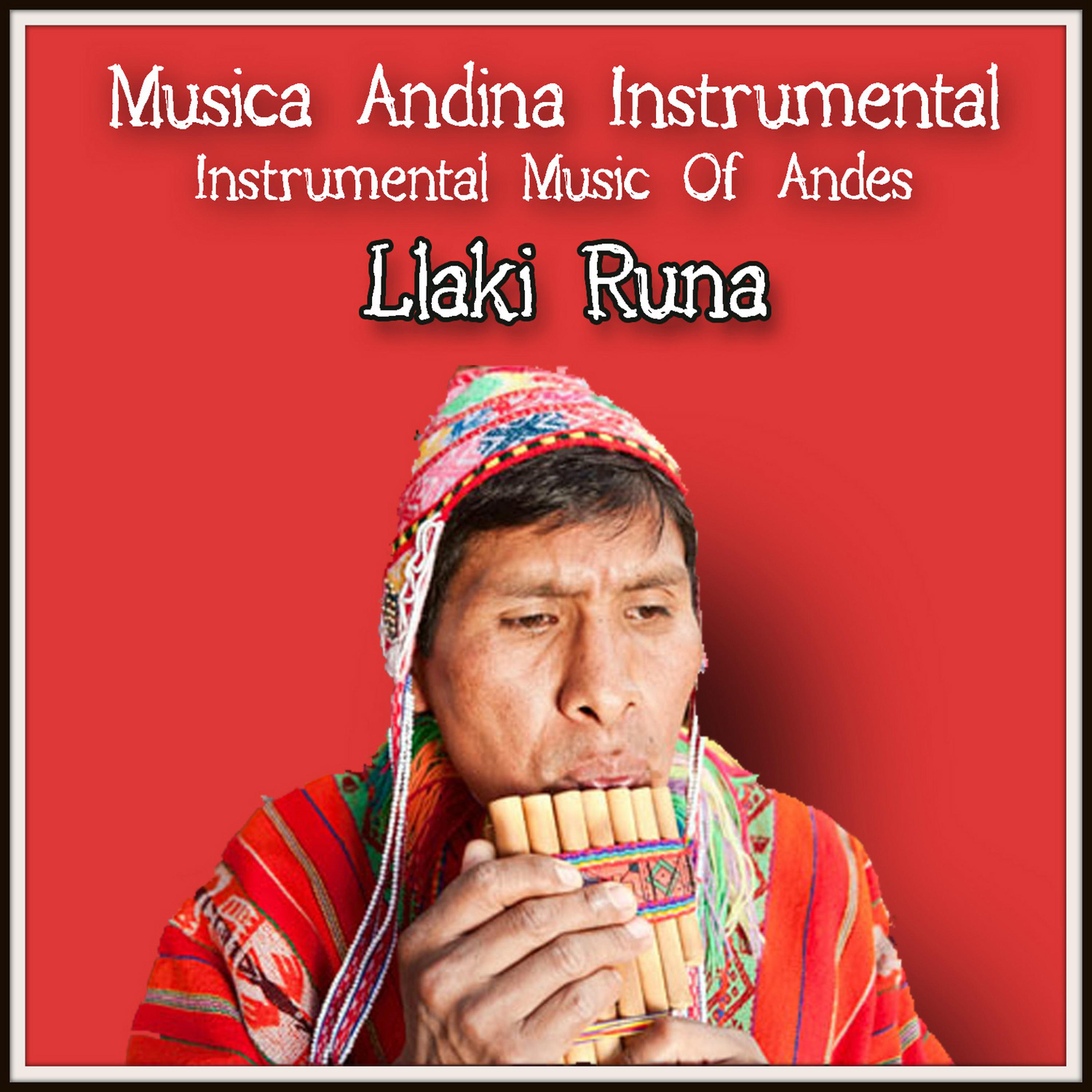 Постер альбома Musica Andina Instrumental, Instrumental Music Of Andes - Llaki Runa