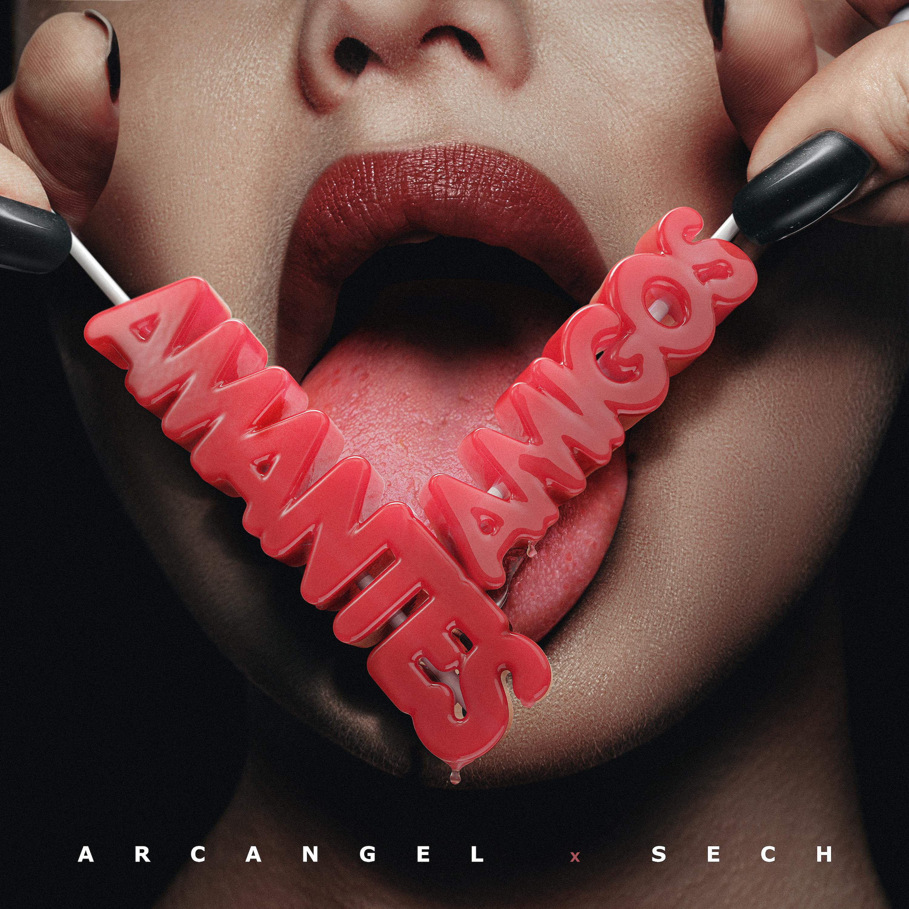 Постер альбома Amantes y Amigos