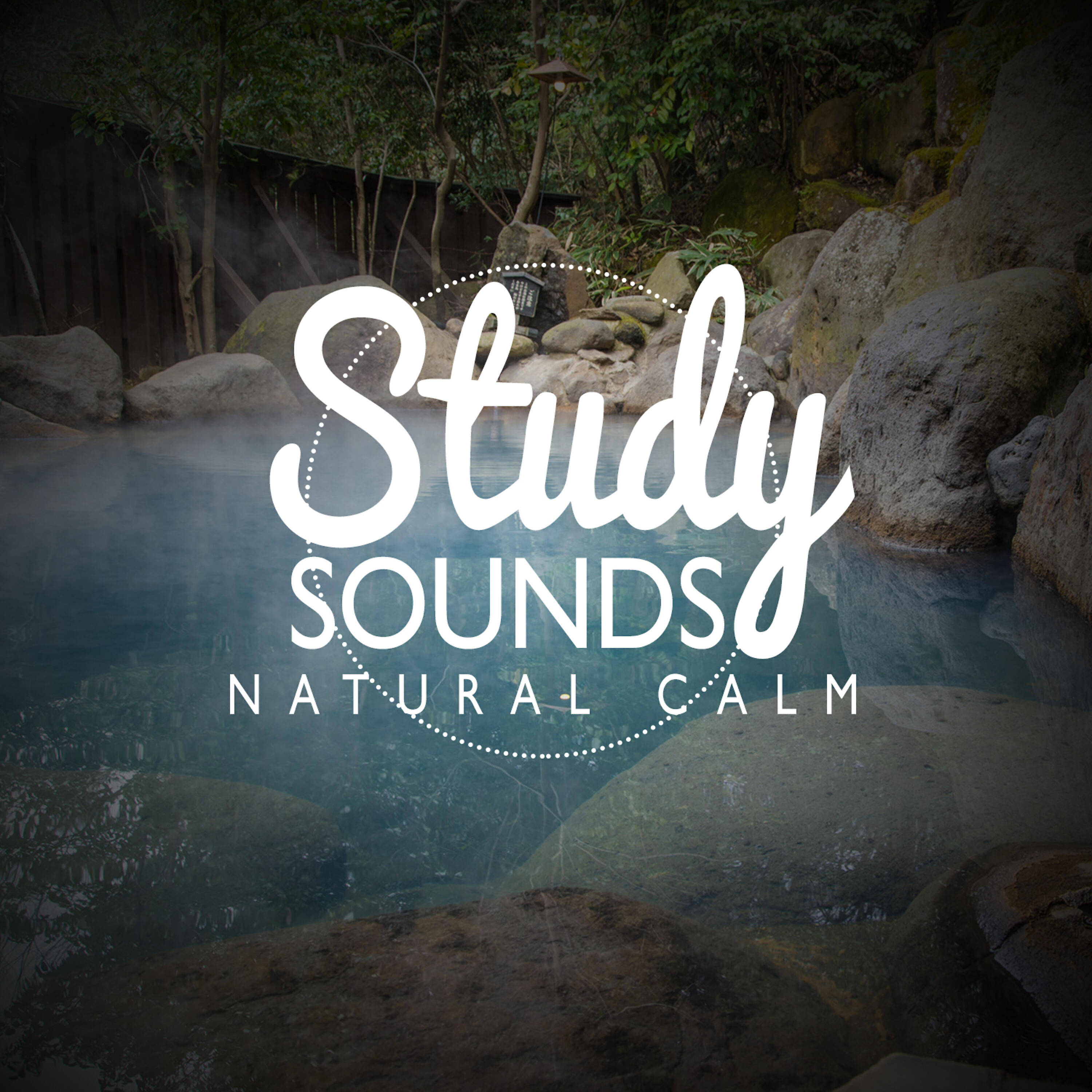 Exam Study Nature Music Nature Sounds - Bird Life Behind the Barn
