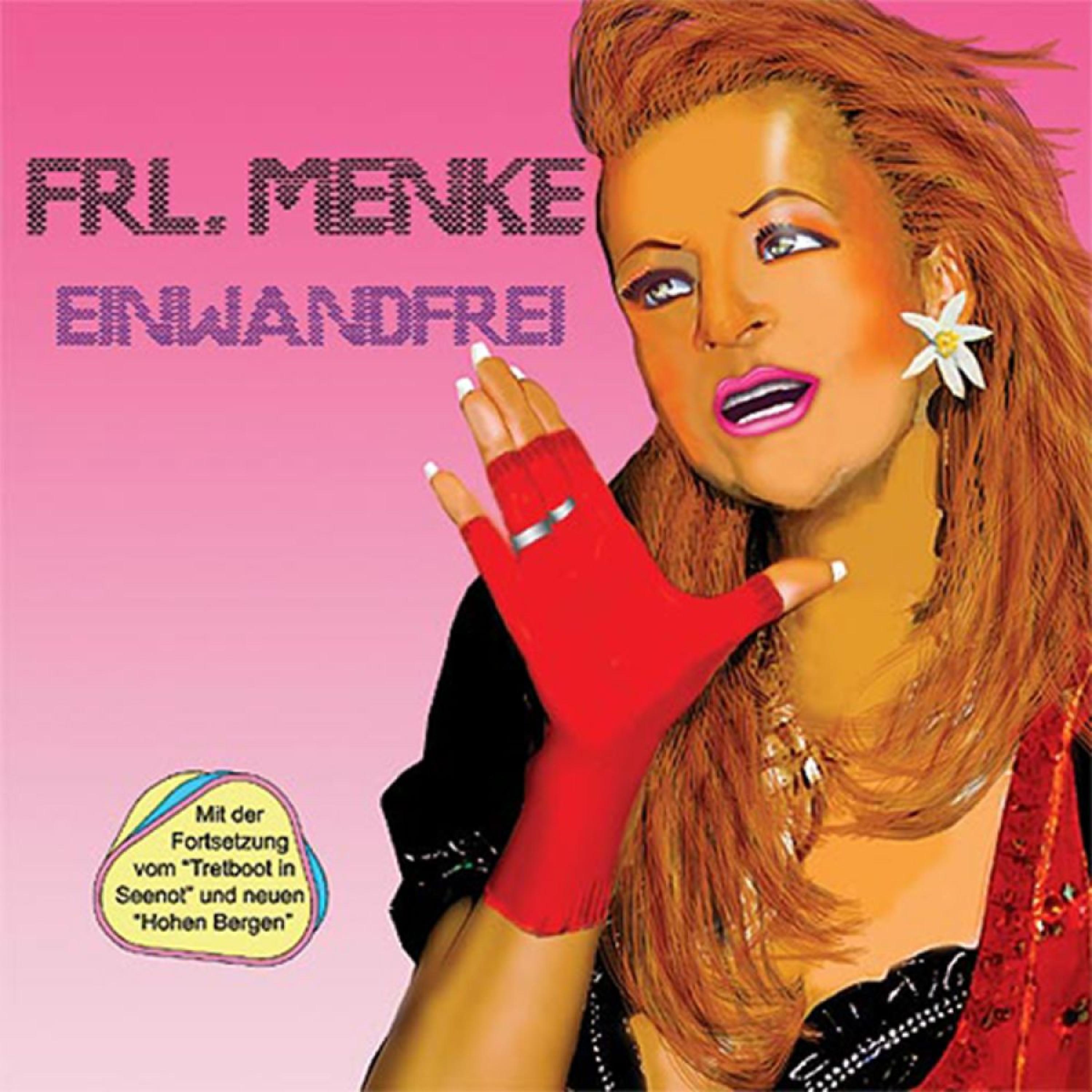 Постер альбома Einwandfrei