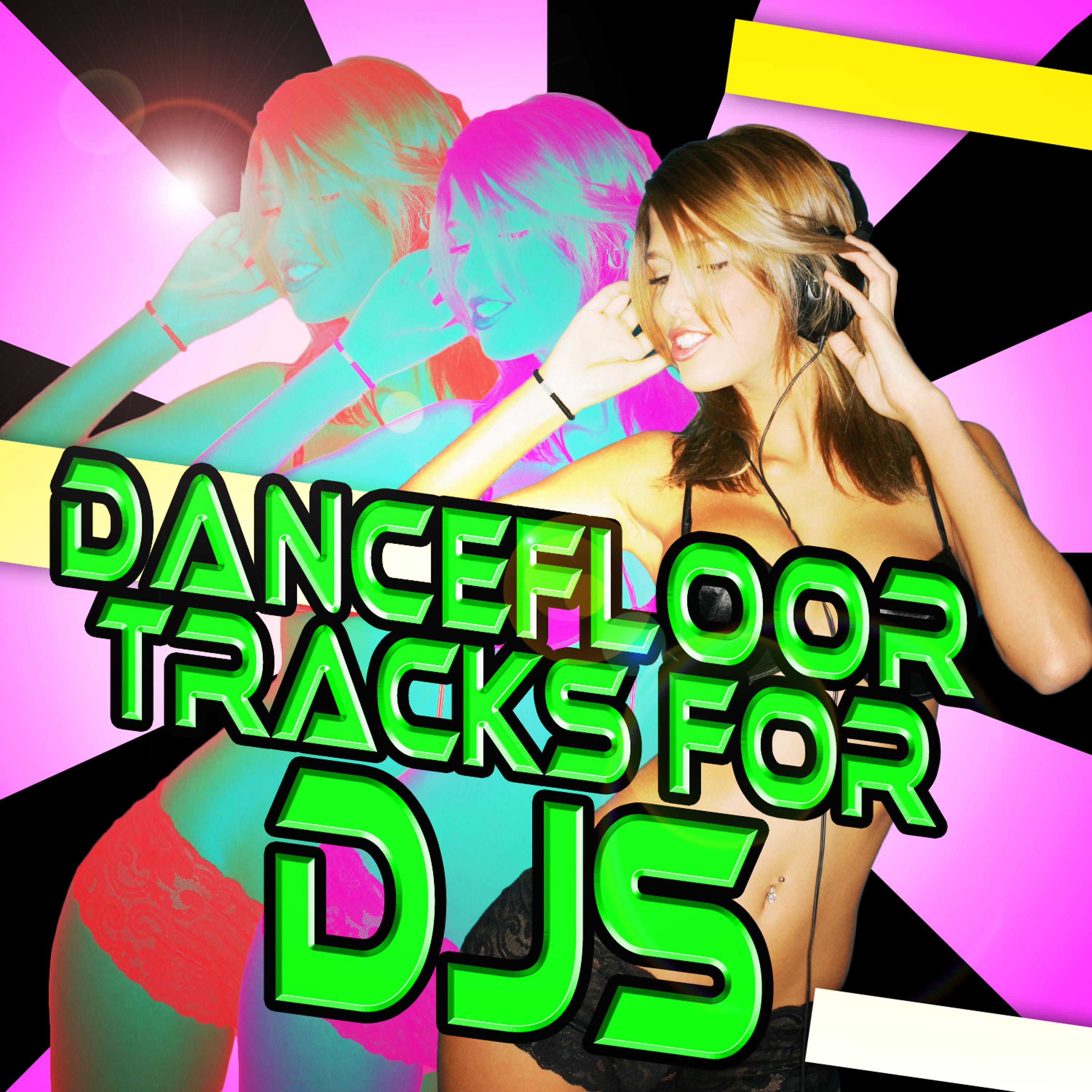 Постер альбома Dancefloor Tracks for DJs