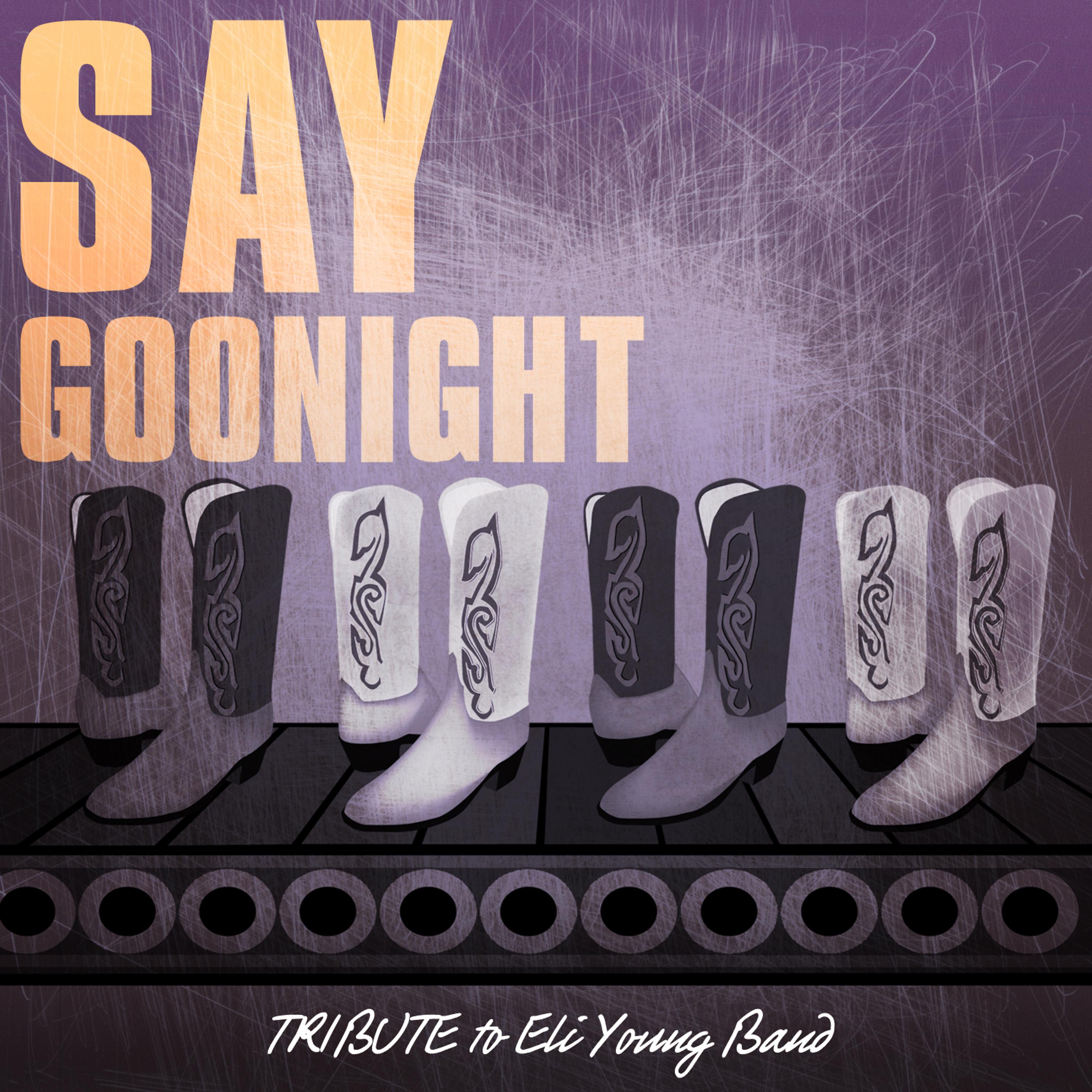 Постер альбома Say Goodnight (Tribute to Eli Young Band)