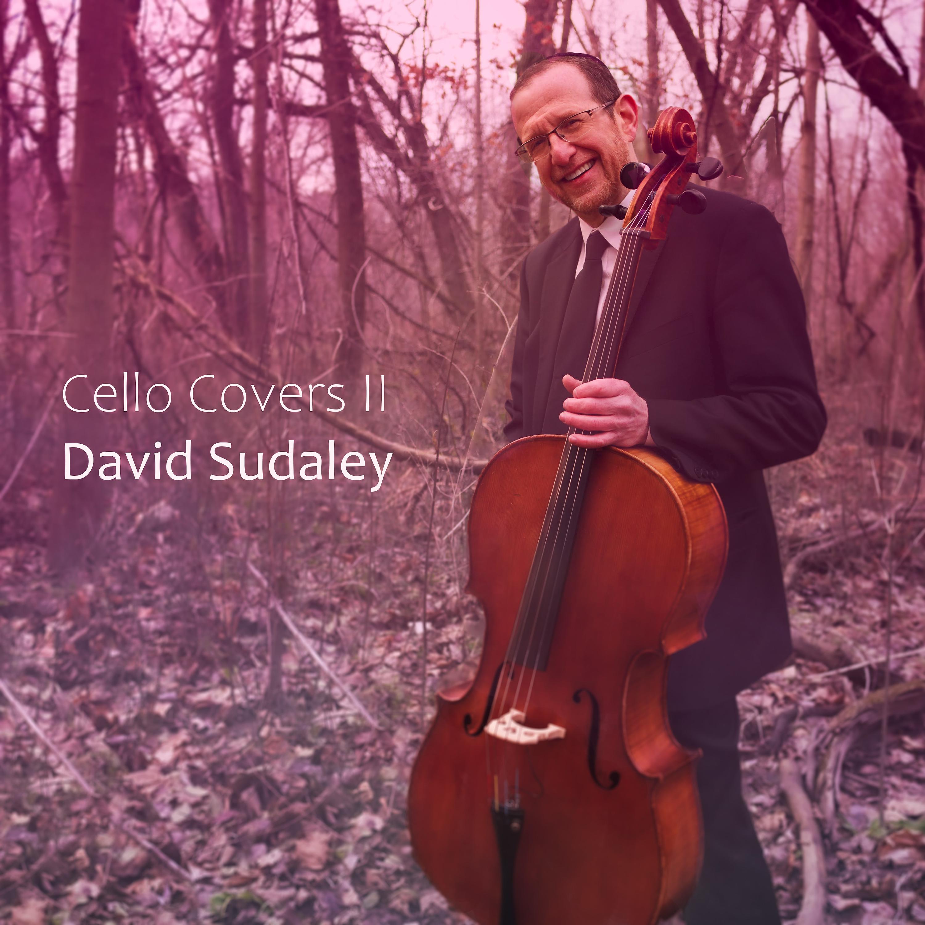 Постер альбома Cello Covers II