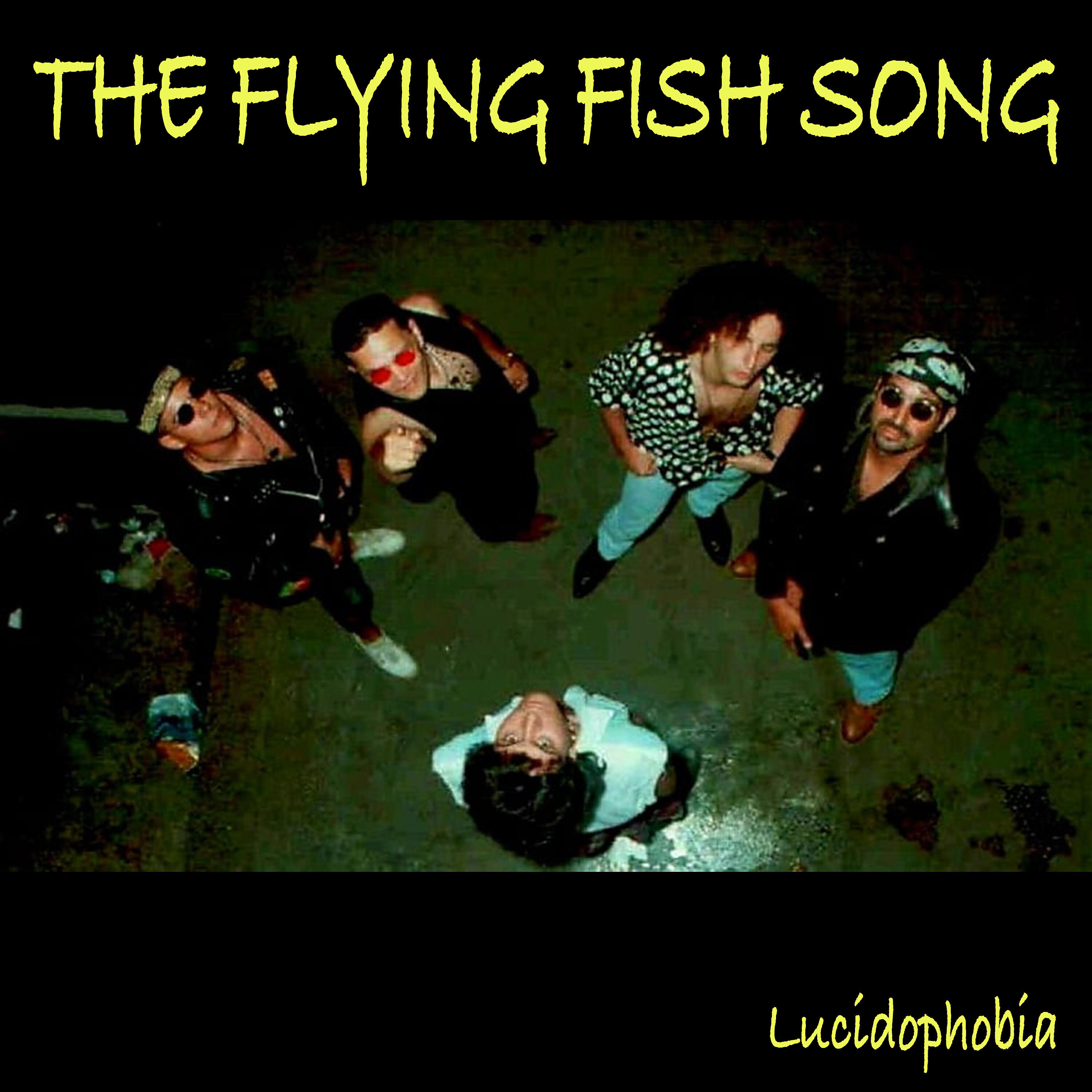 The Flying Fish Song - Industrial Frame