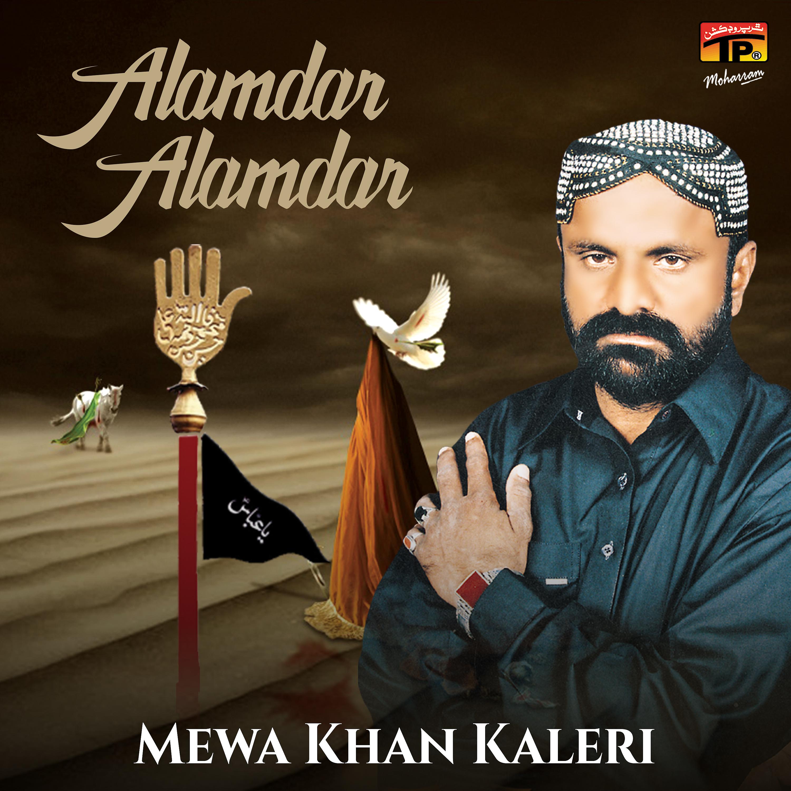 Постер альбома Alamdar Alamdar