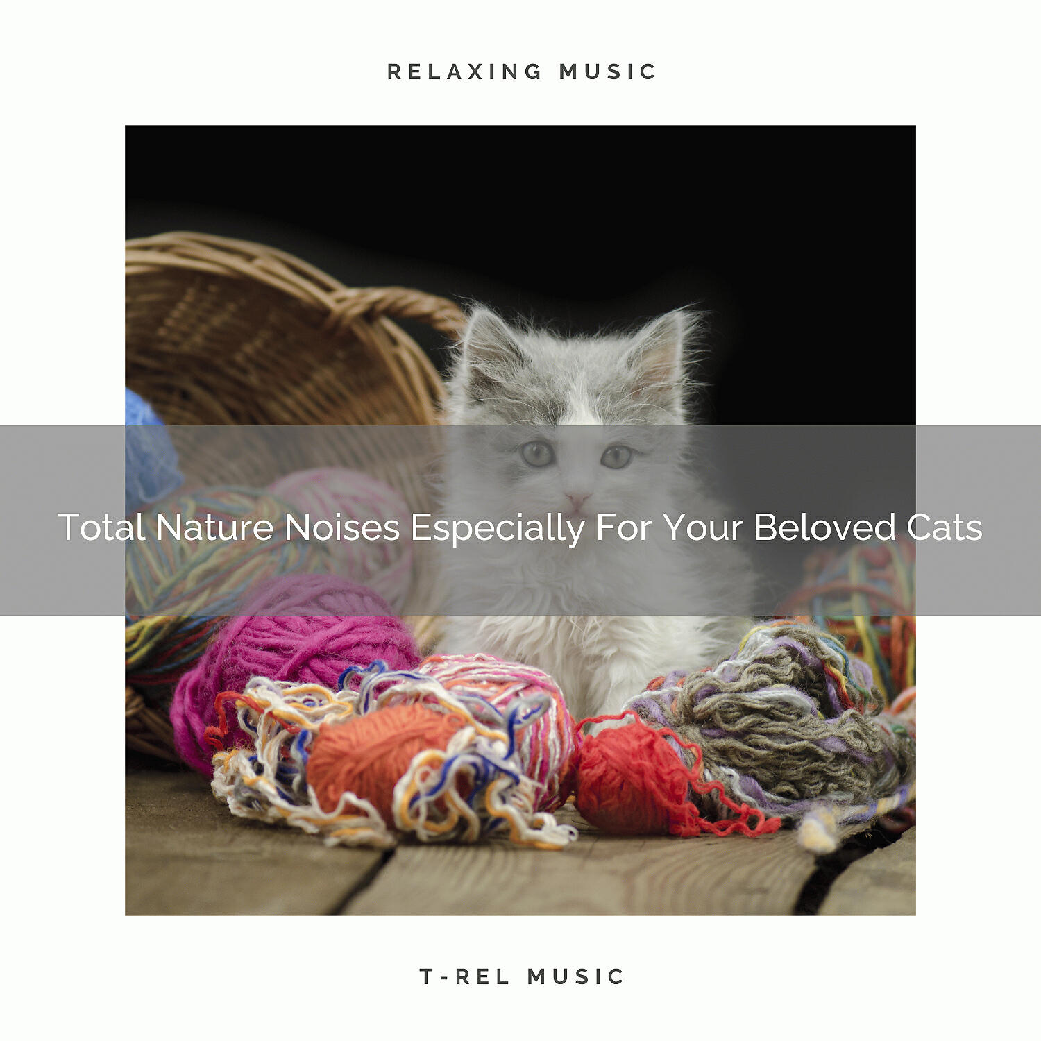 Pets Relax - All Nature Songs For Indoors Cats
